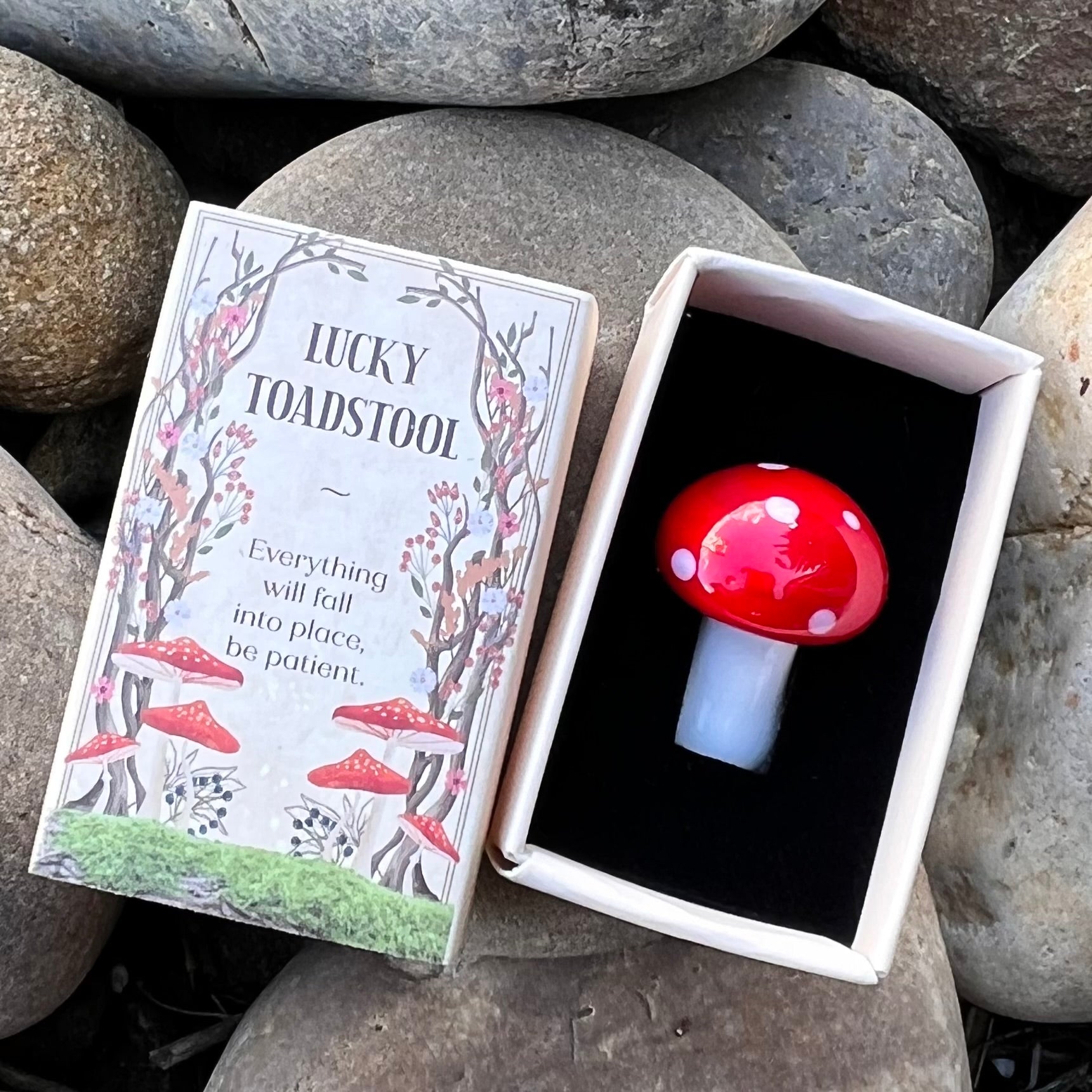 Little Lucky Toadstool Mushroom ~ In Box
