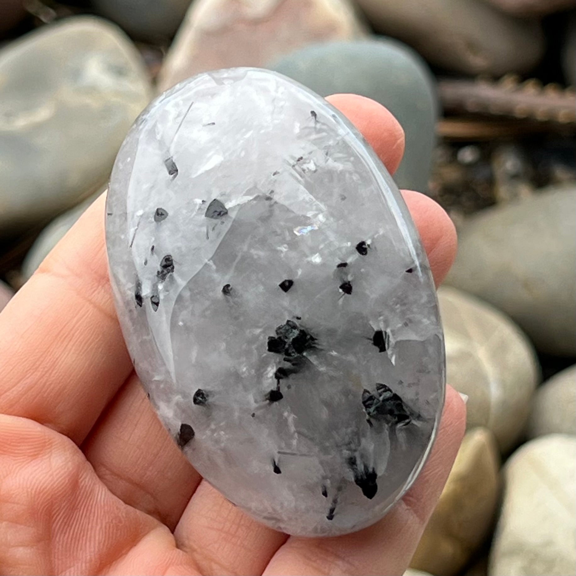 Black Tourmaline in Quartz Palm Stone
