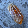 Amber with Quartz Raw Specimen