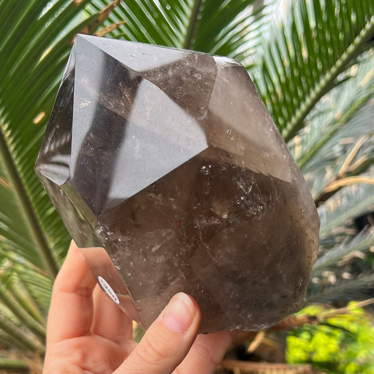 Incredible Natural Semi Raw Smokey Point