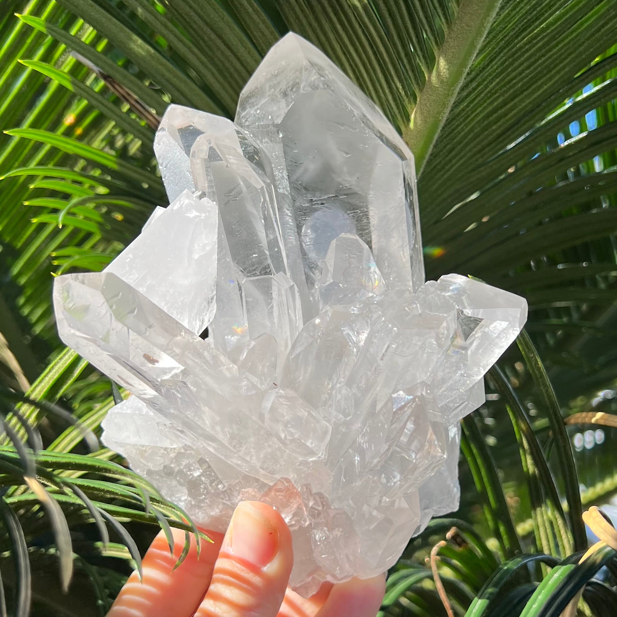 Clear Quartz Family Cluster