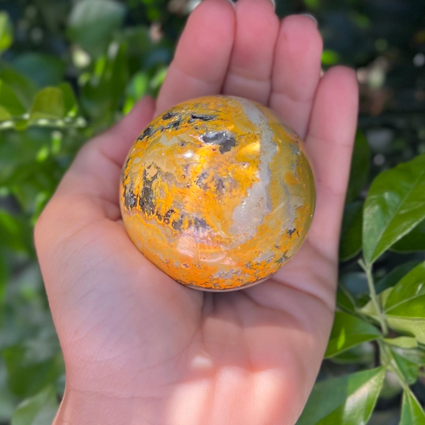 Bumble Bee Jasper Sphere
