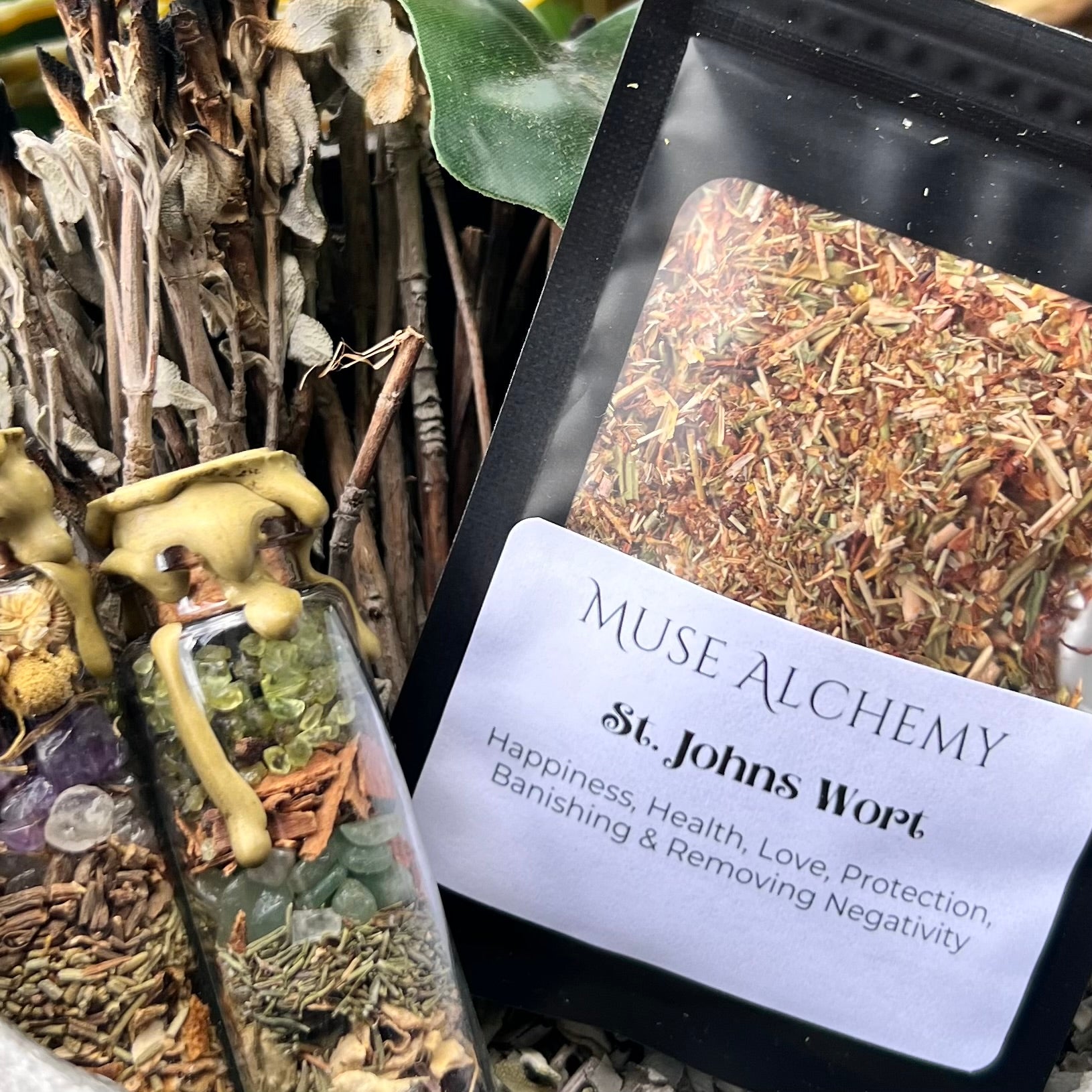 St. John’s Wort ~ Muse Alchemy Botanicals