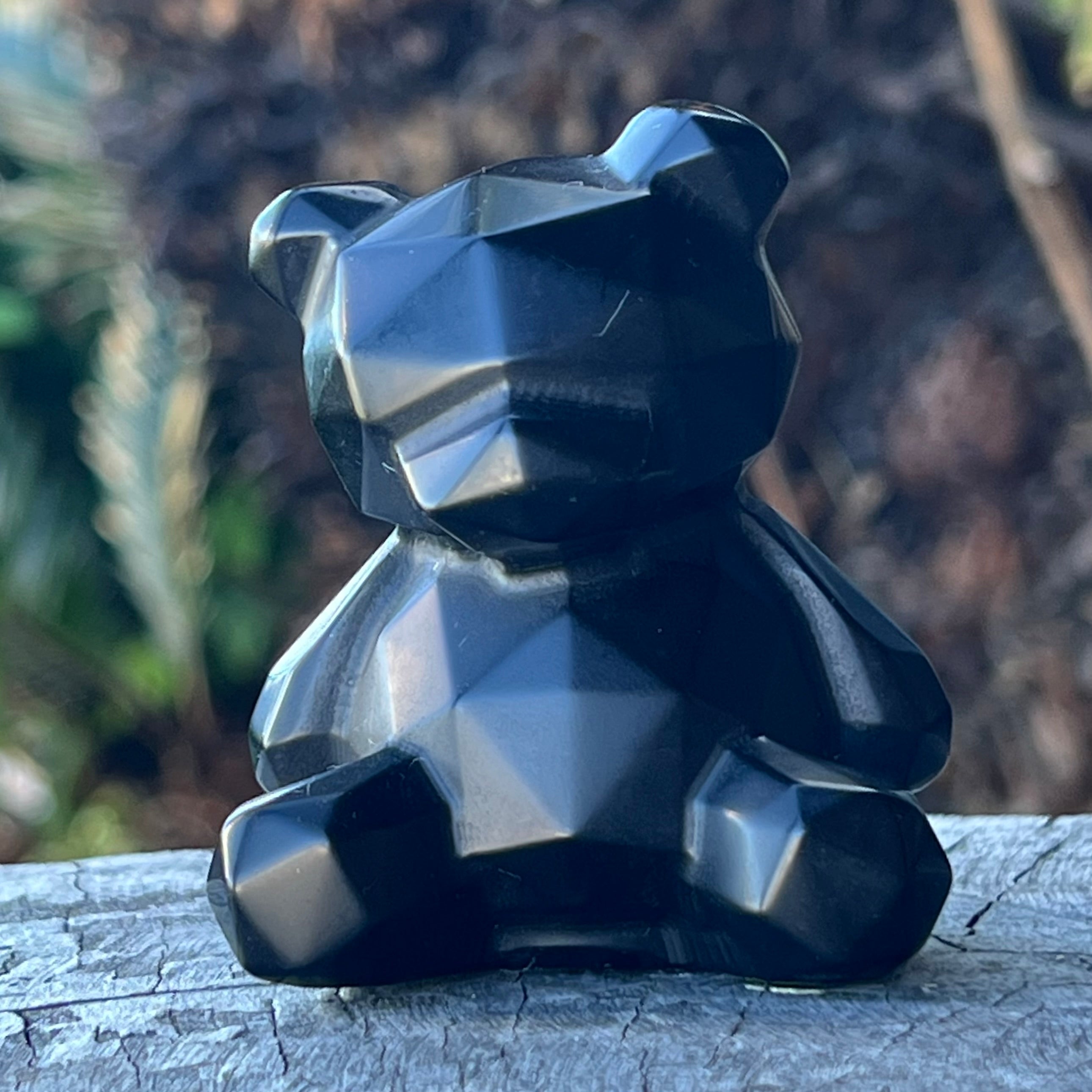 Teddy Bear ~ Black Obsidian