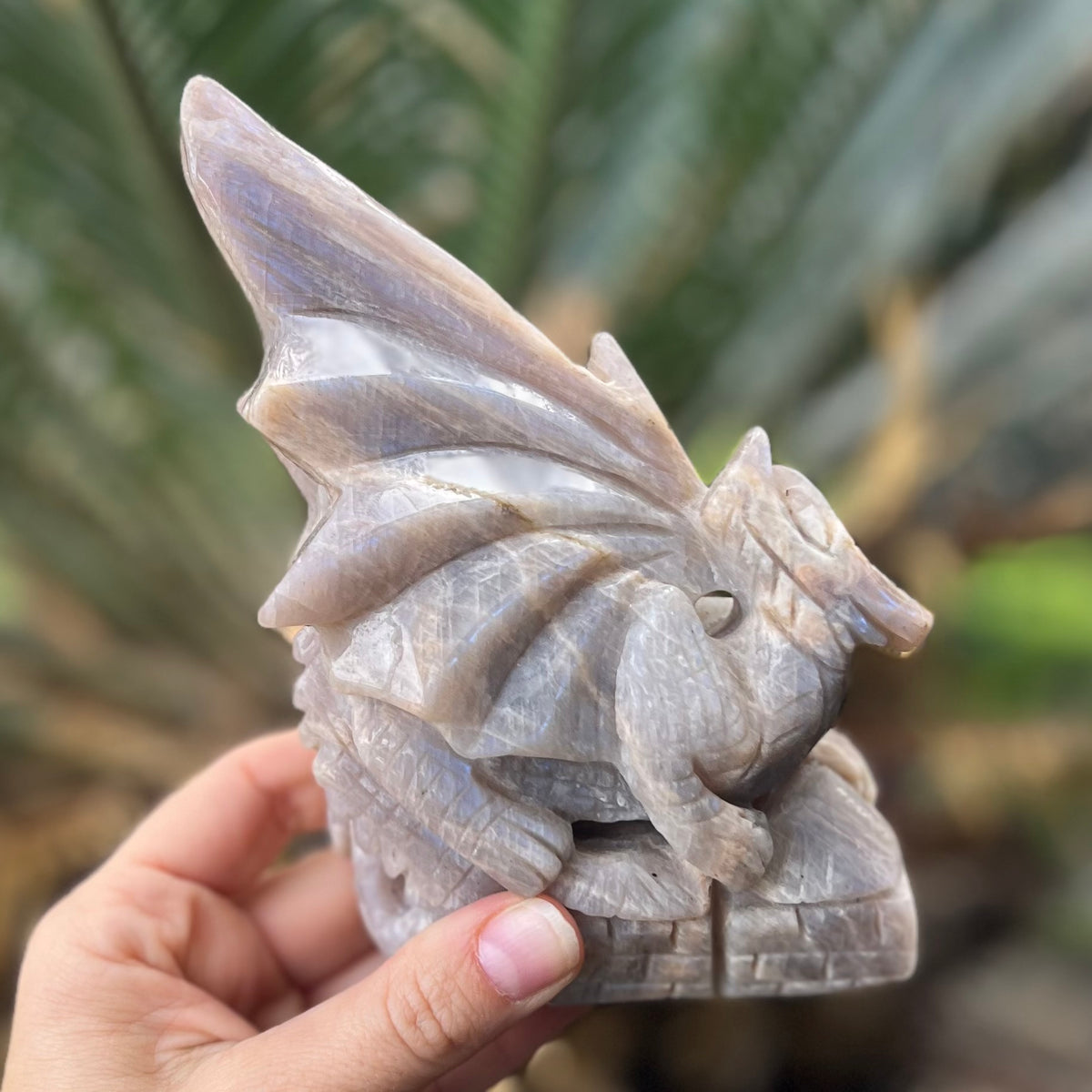 Dragon Carving ~ Moonstone