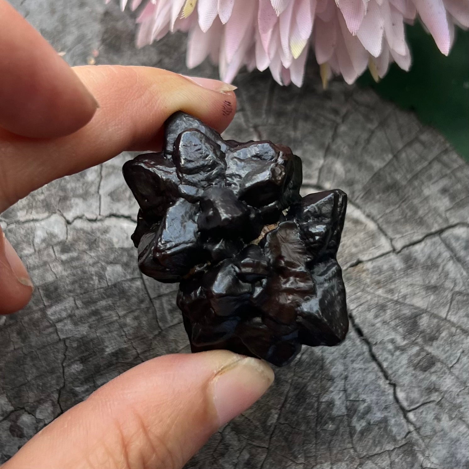 Prophecy Stone ~ Specialty Crystal ~ 1