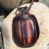 Muse Medicine  ~ Red Tiger Eye ~ Talisman