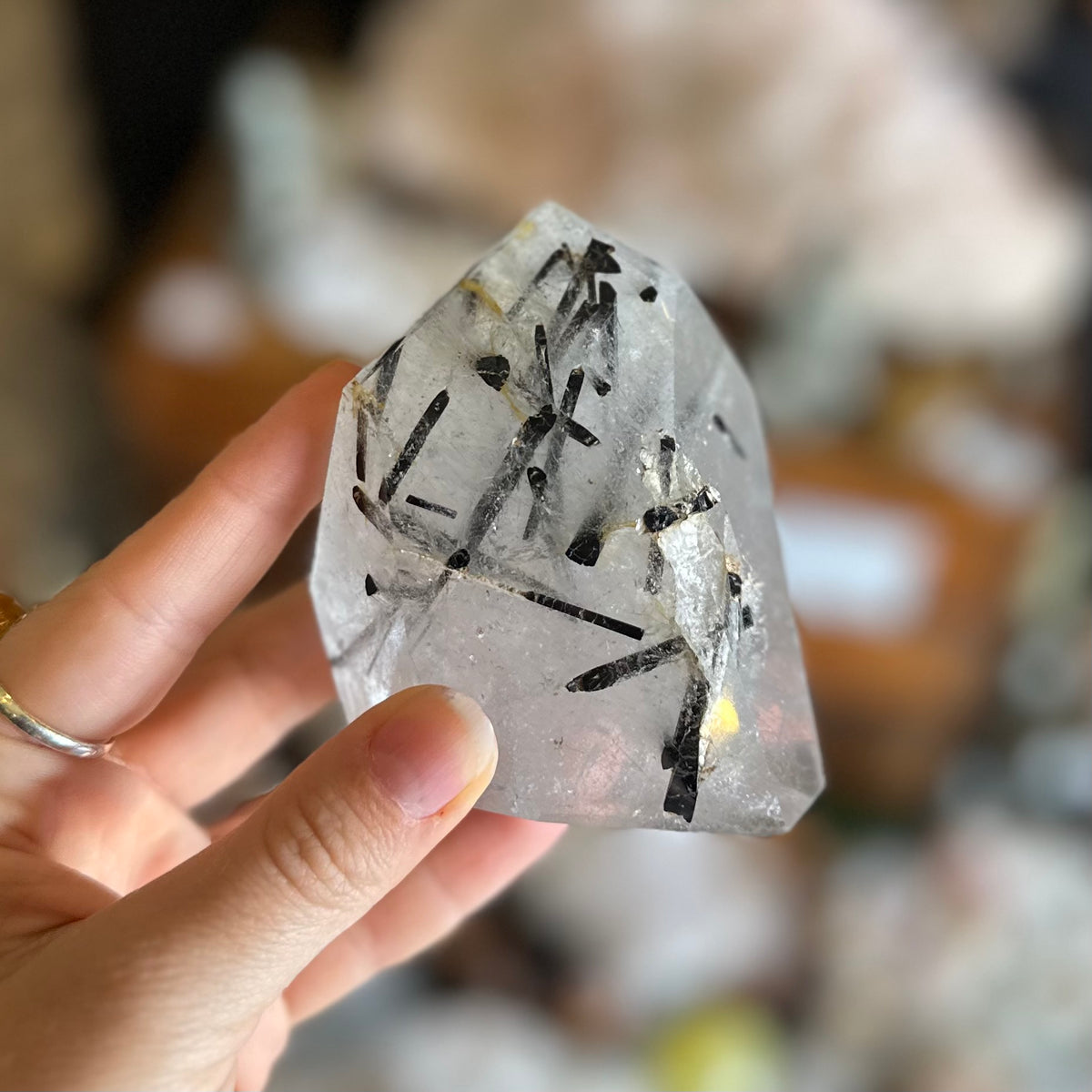 Black Tourmaline in Quartz Freeform