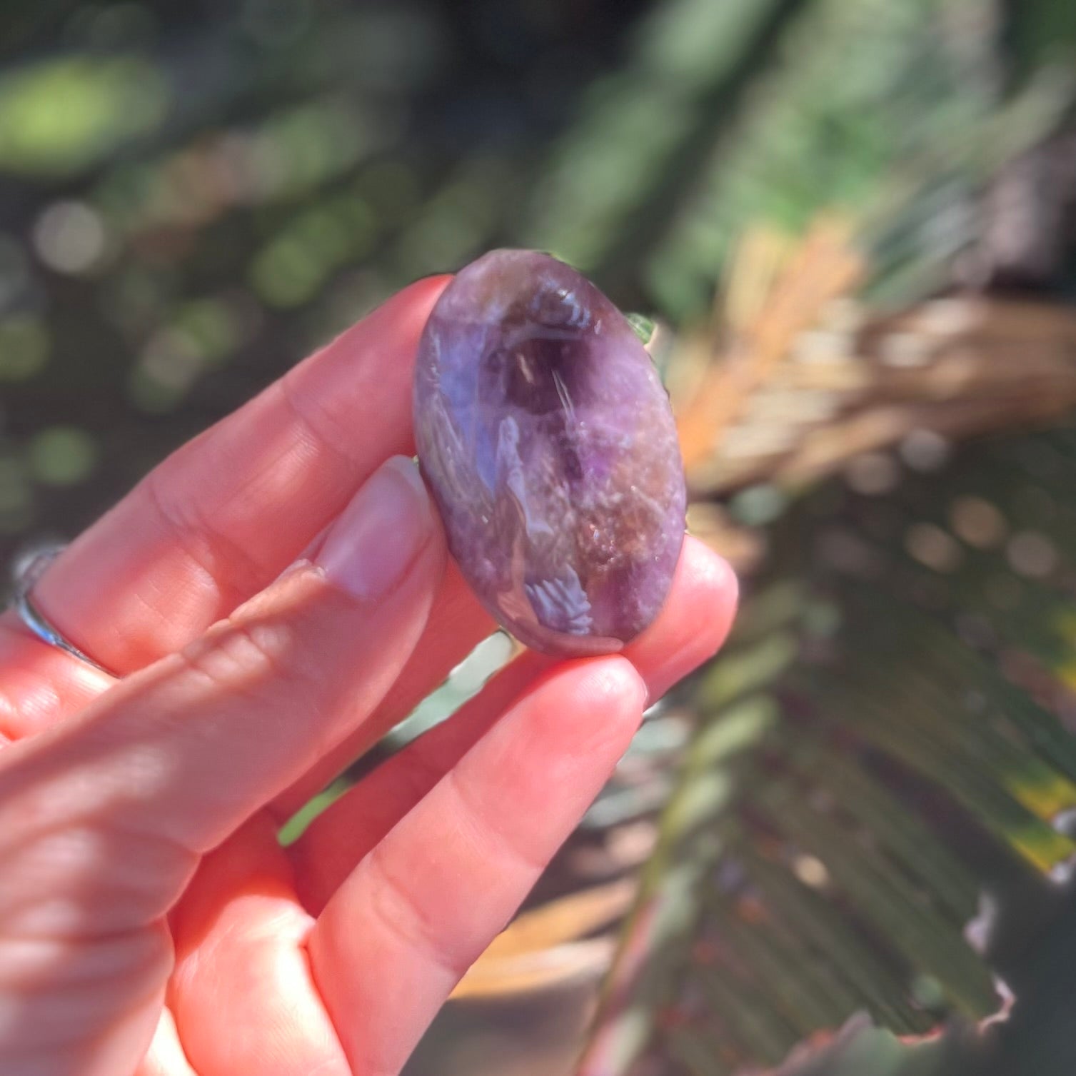 Ametrine Tumble  ~ Specialty Boxed Crystal