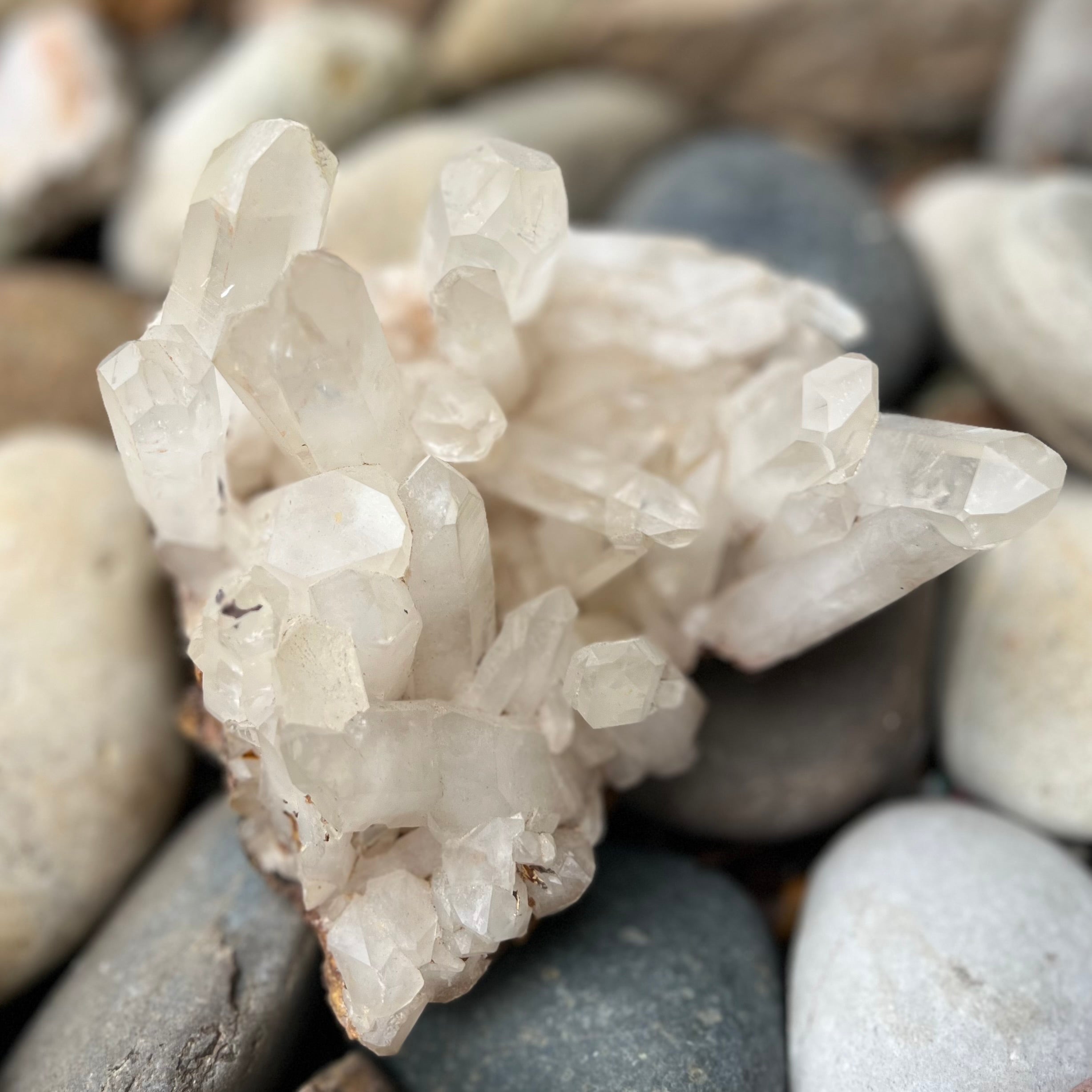 Clear Quartz Cluster