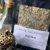 Angelica ~ Muse Alchemy Botanicals