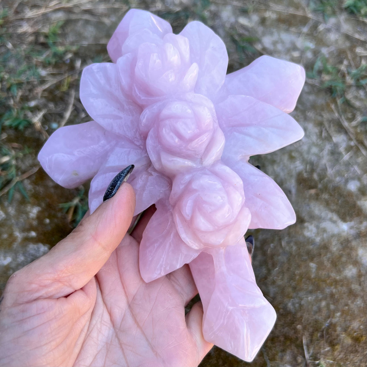 Rose Quartz ~ Roses Cross