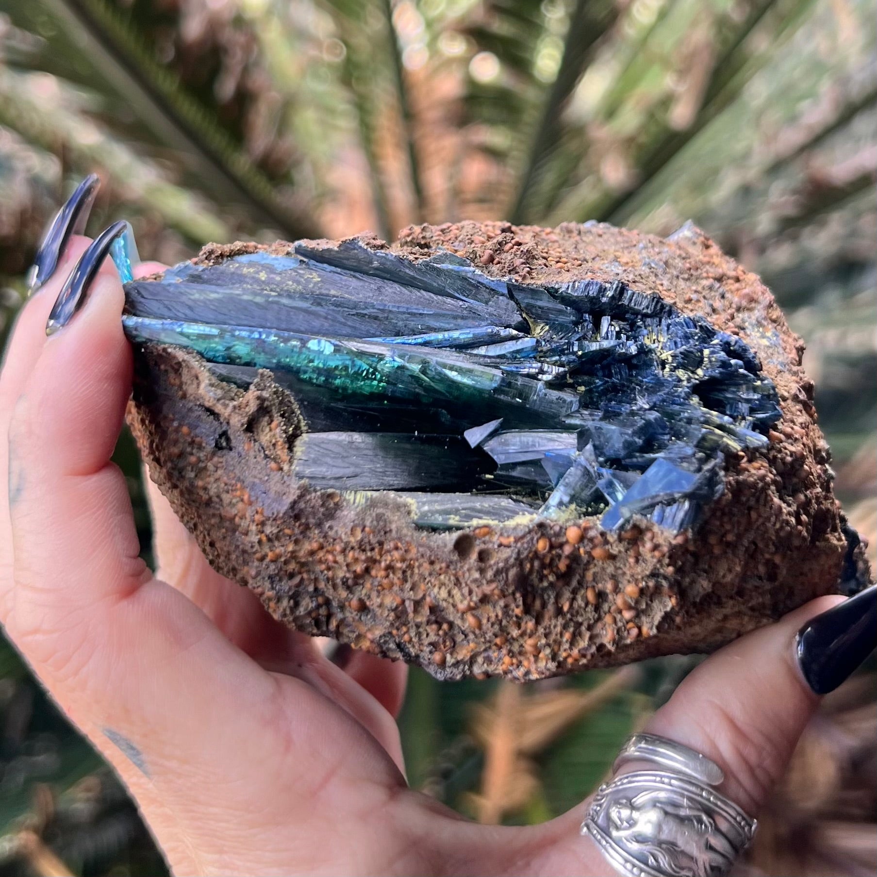 RARE… Vivianite on Matrix Specimen