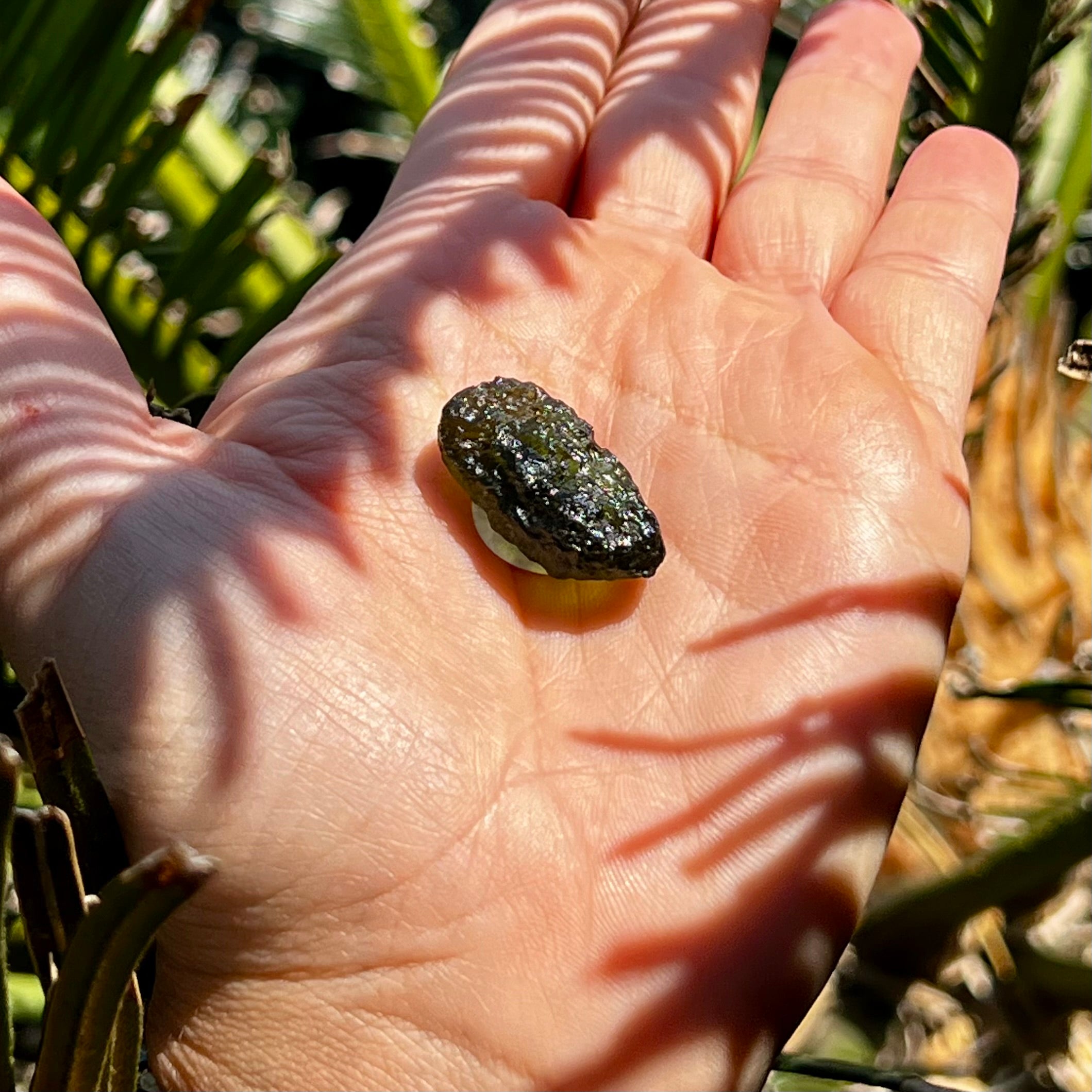 Raw Moldavite Specimen ~ RARE