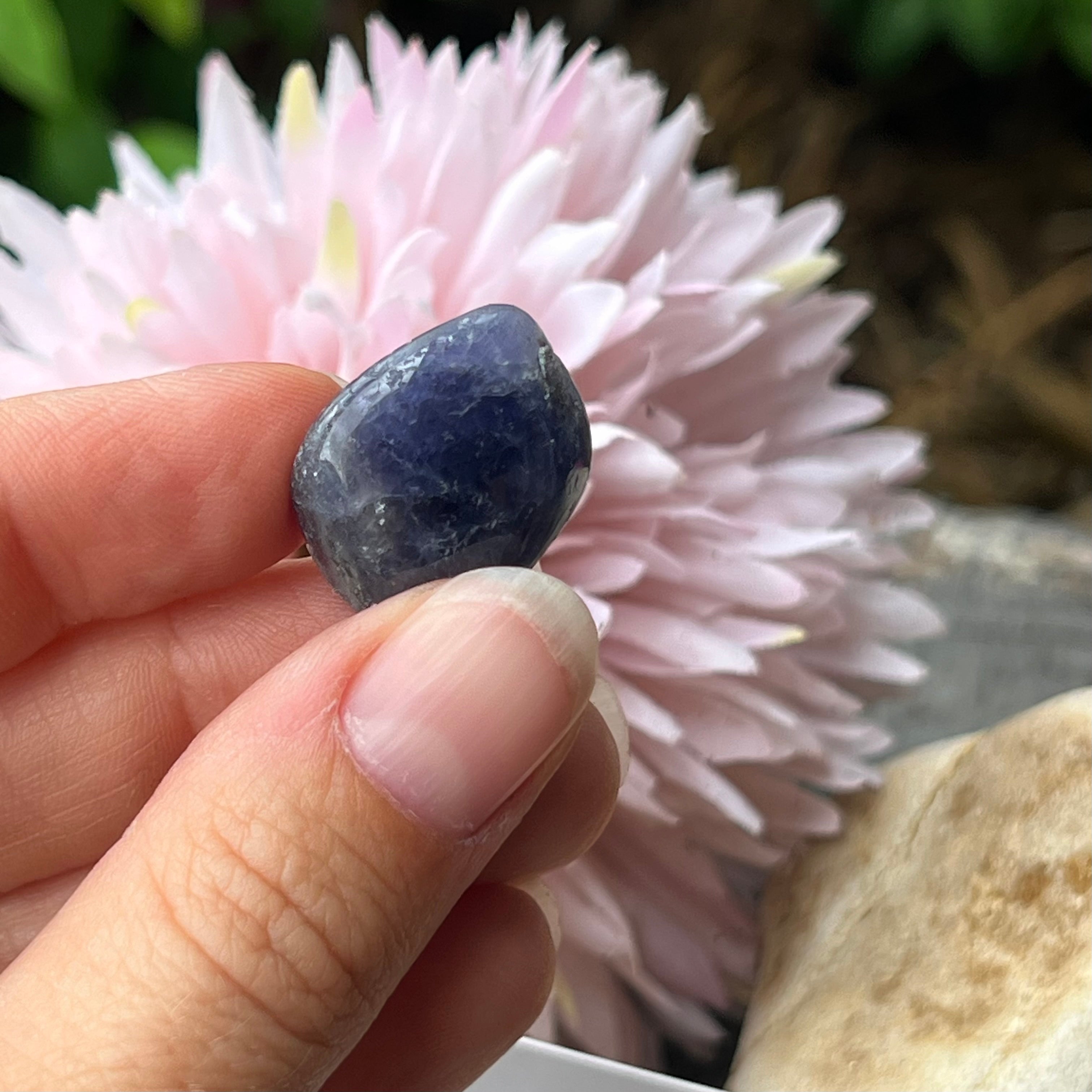 Iolite Specimen ~ Specialty Boxed Crystal