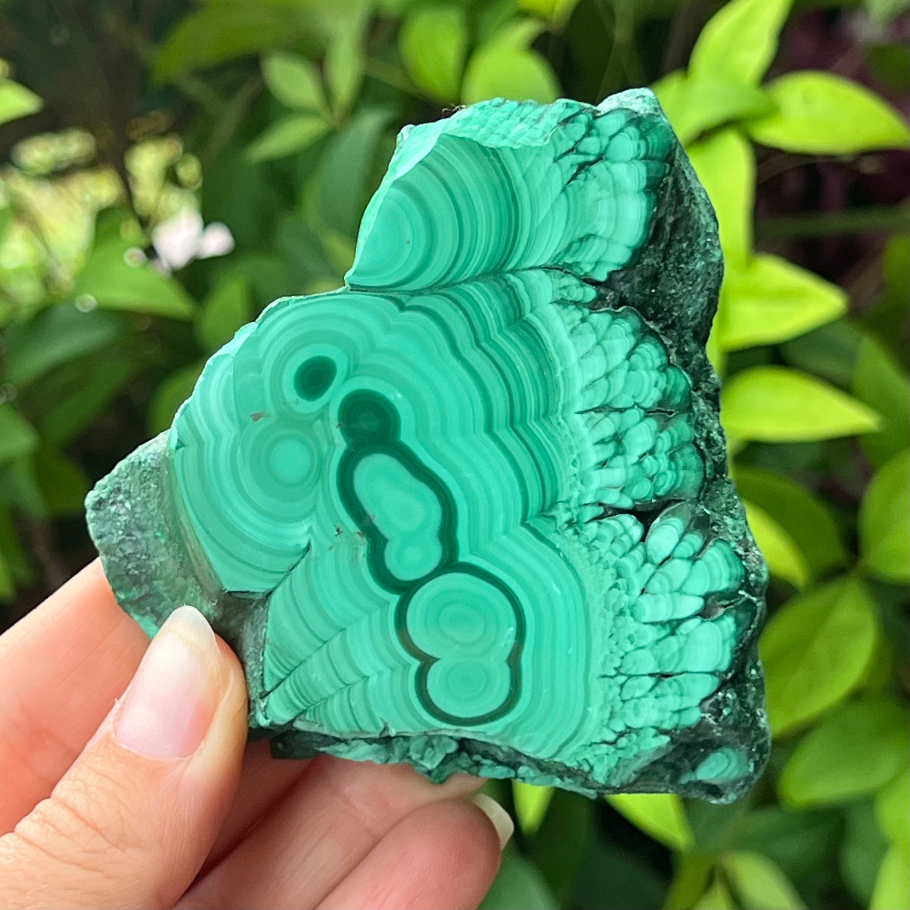 Malachite Slab ~ Specialty Crystal ~ Growth