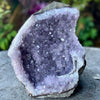 Amethyst Standing Cluster Geode