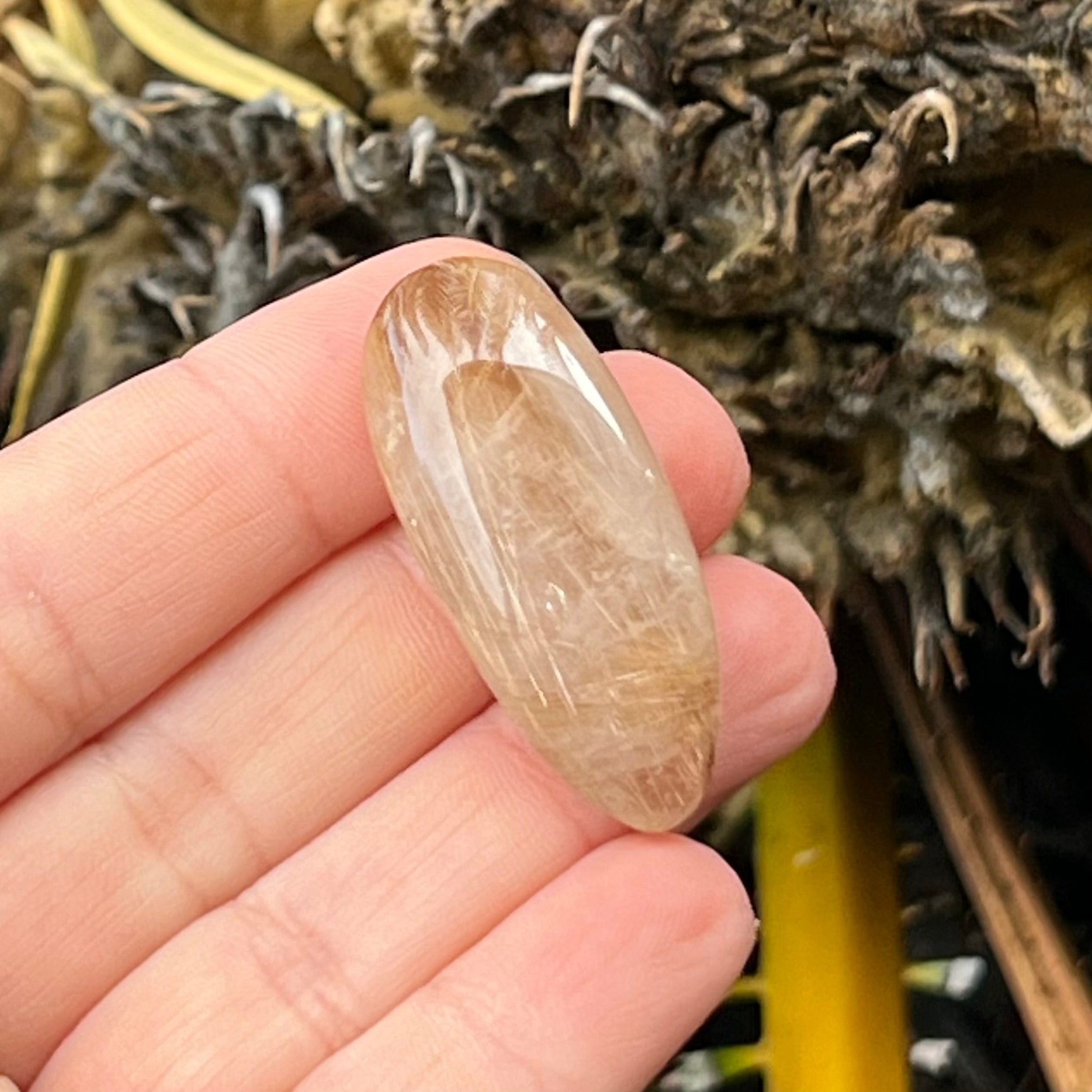 Rutilated Quartz ~ Rare Specialty Crystal