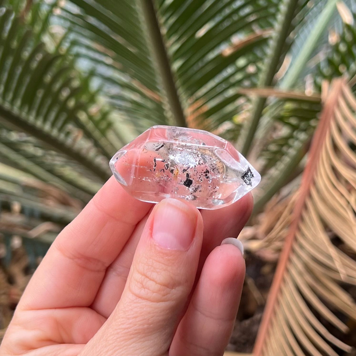 Herkimer Diamond Polished ~ Specialty Crystal ~ 1