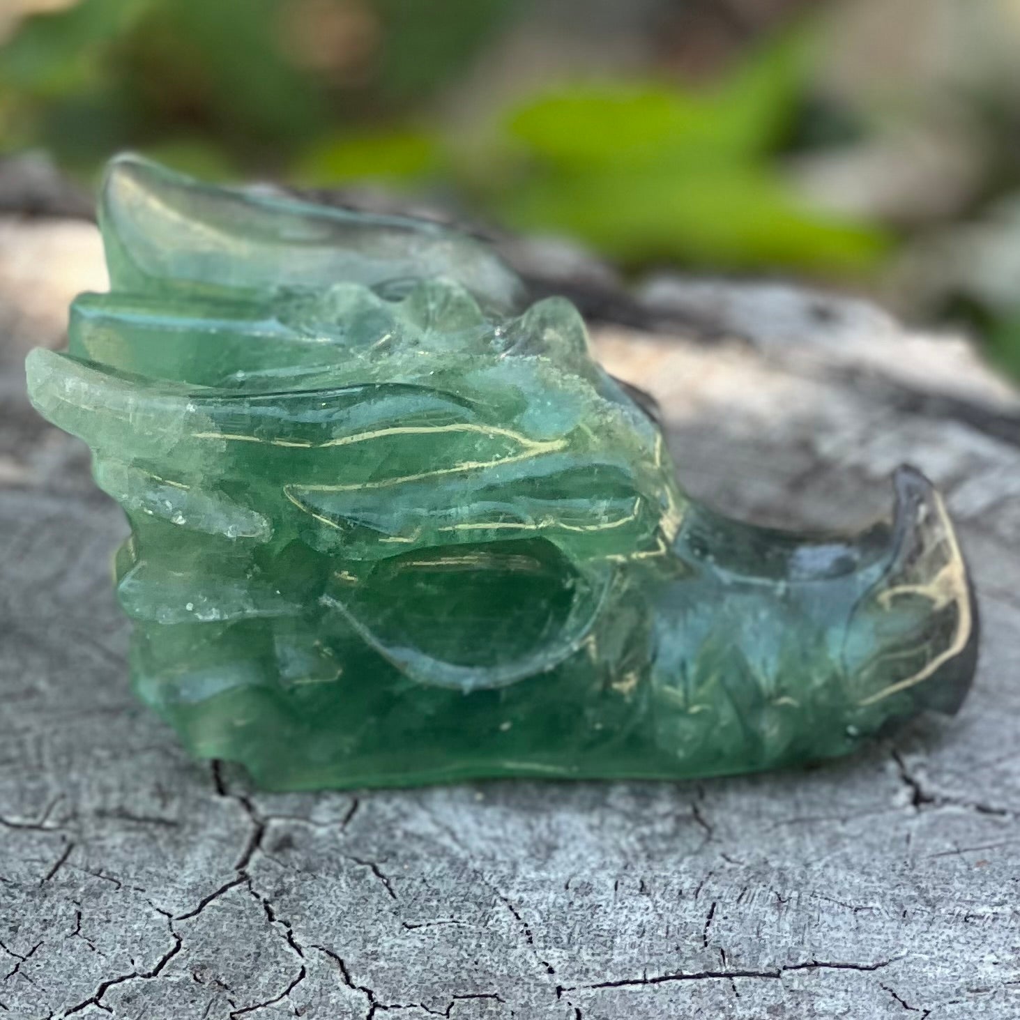 Rainbow Fluorite Dragon Head