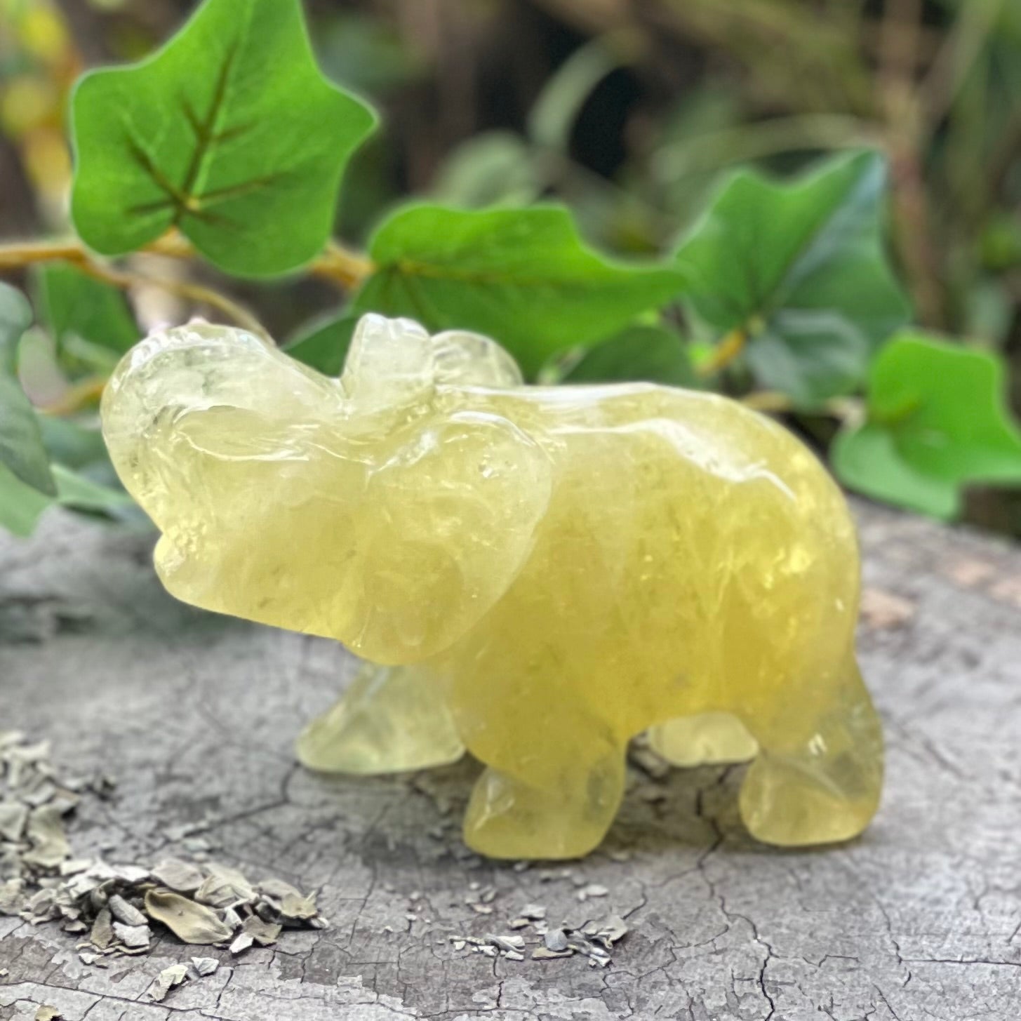 Lucky Elephant ~ Citrine