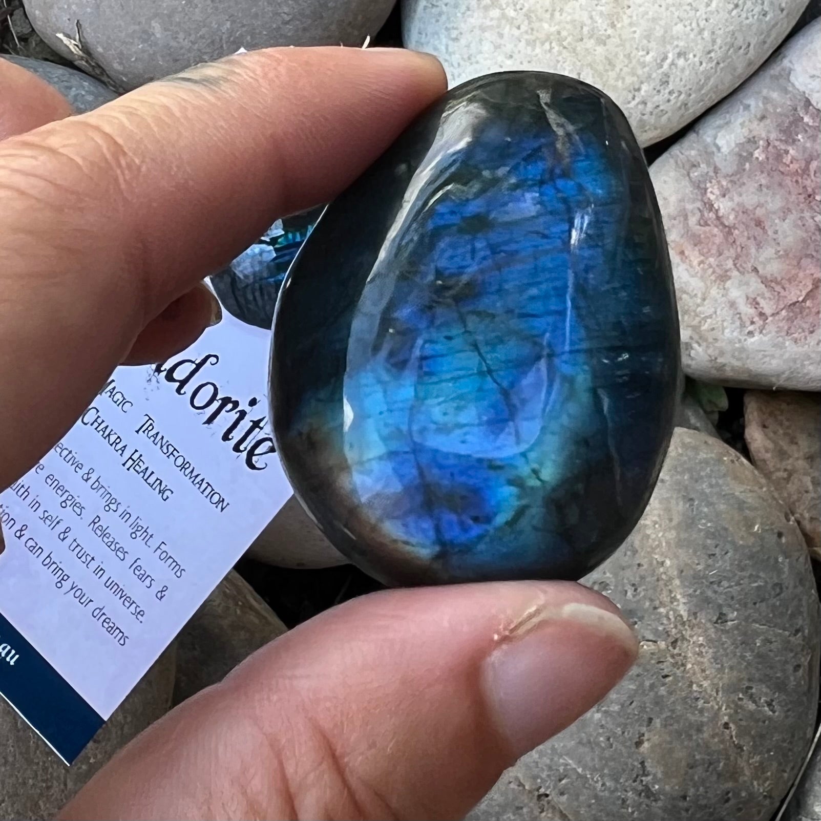 Labradorite ~ Specialty Boxed Crystal ~ 3