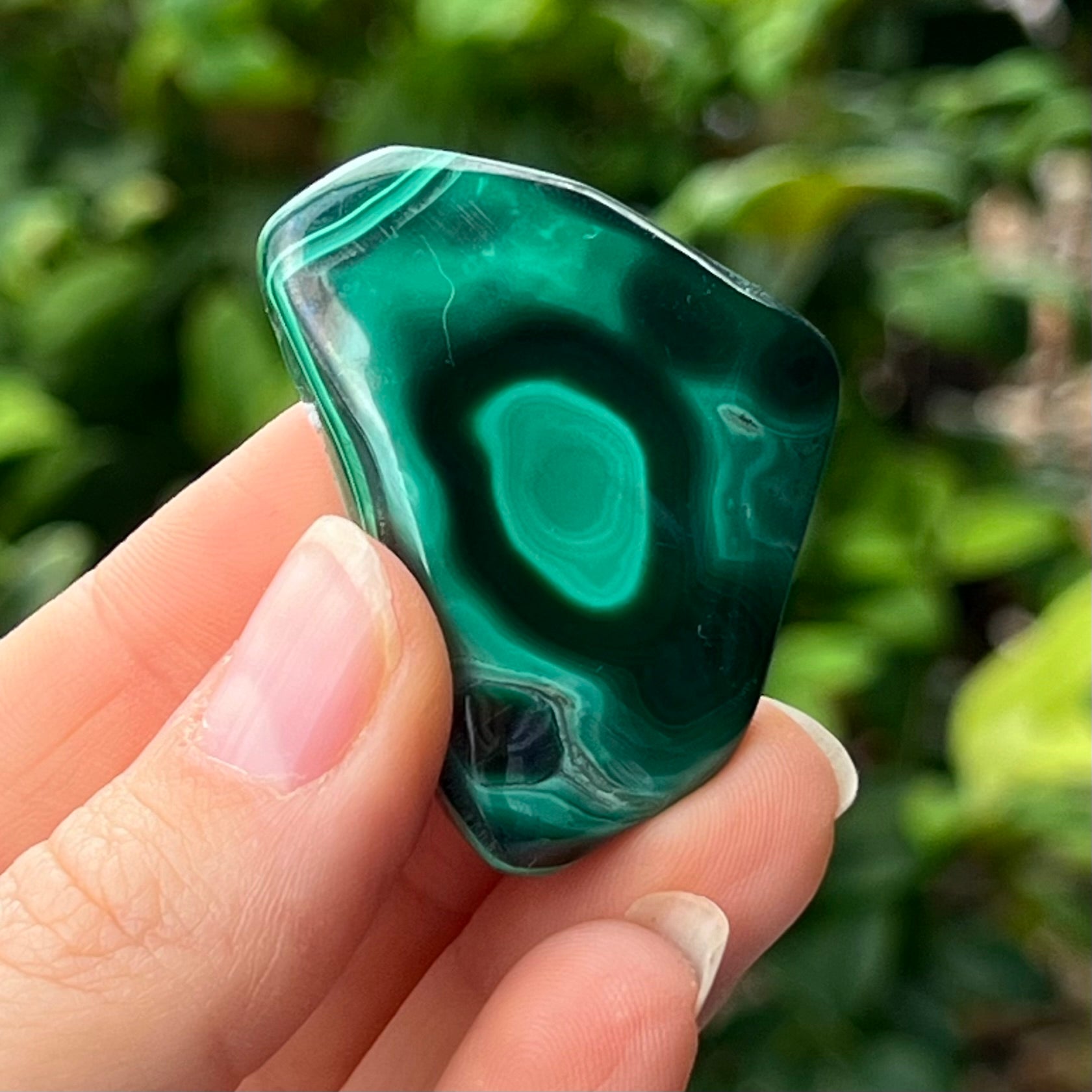Malachite ~ Specialty Boxed Crystal