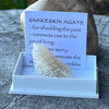 Snake Skin Agate ~ Specialty Boxed Crystal