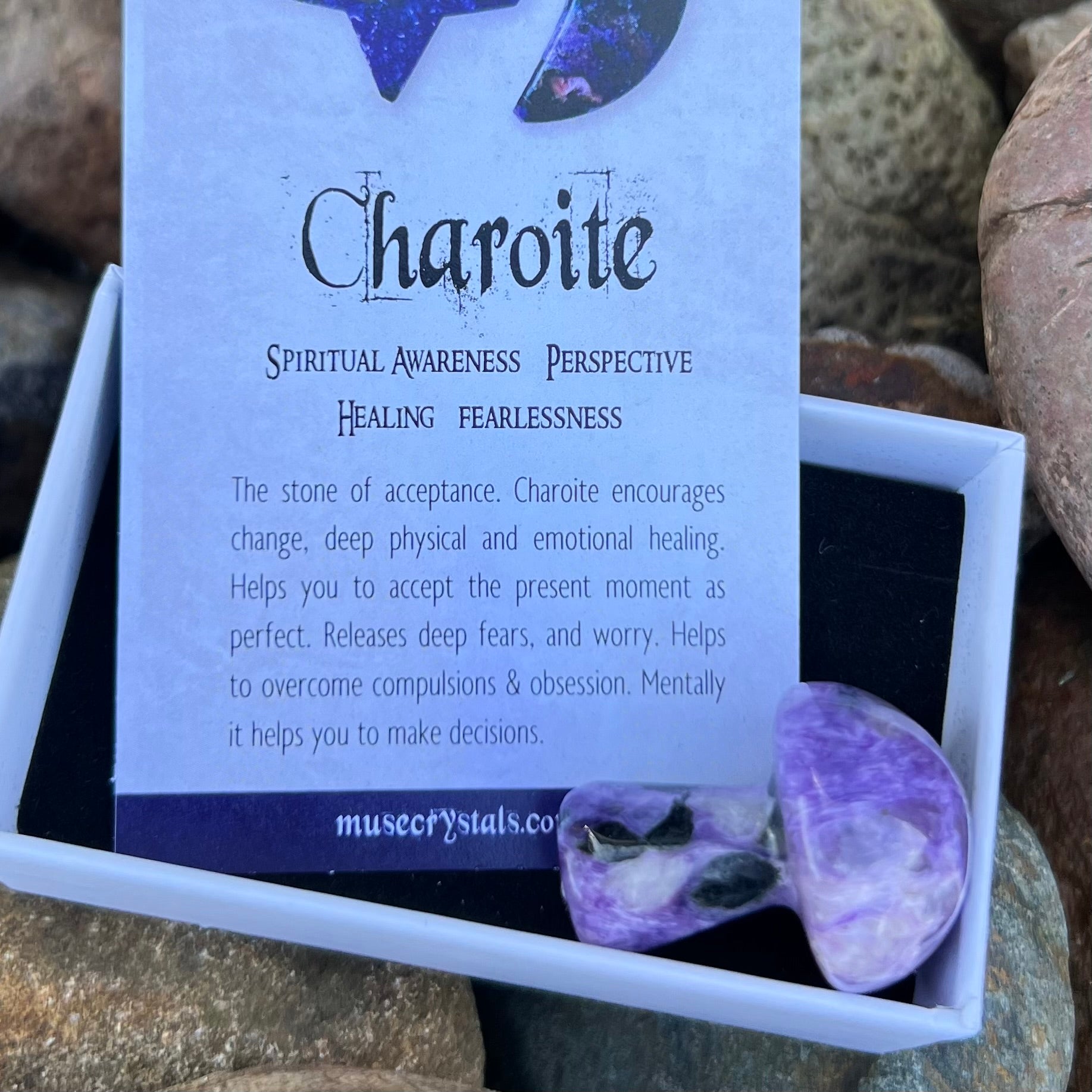 Chariote Mushroom ~ Specialty Boxed Crystal