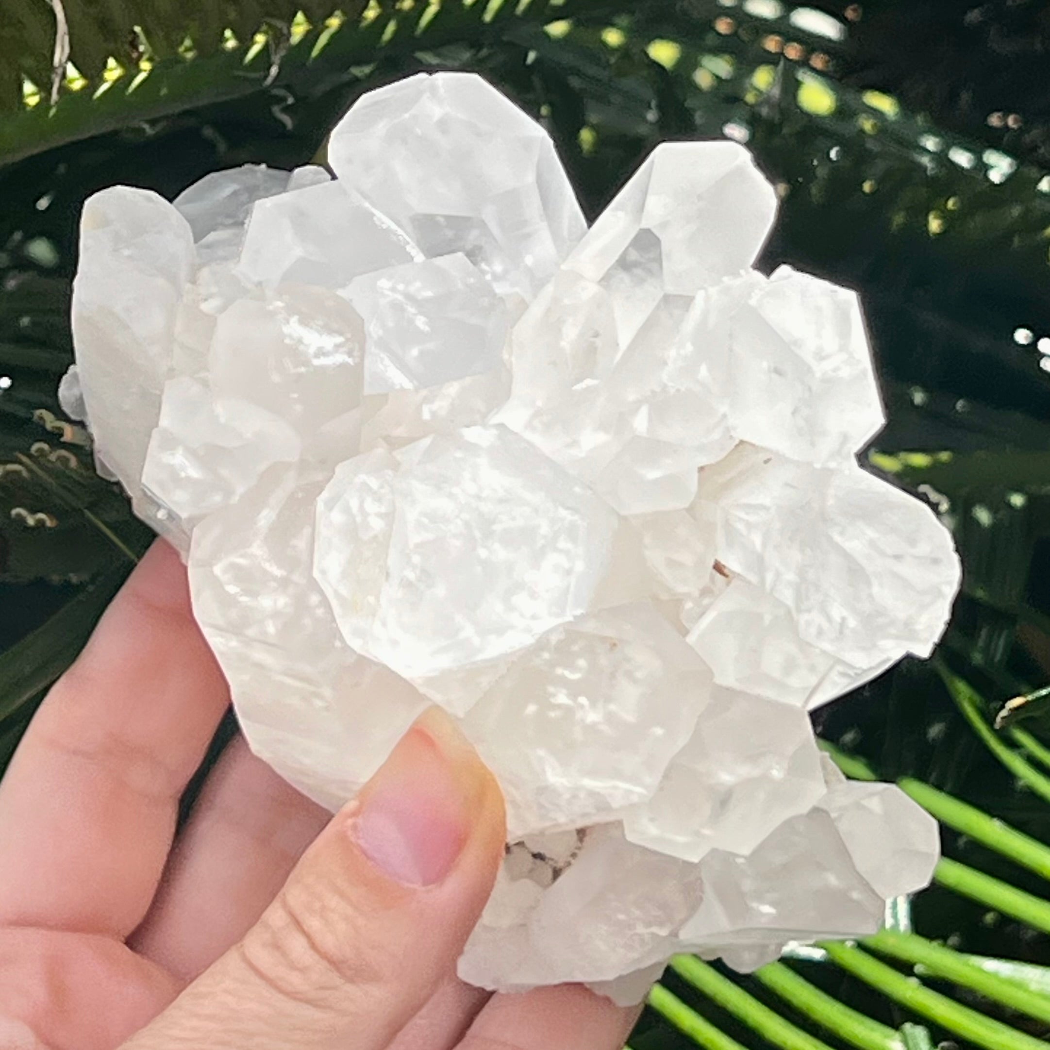 Clear Quartz Natural Raw Cluster