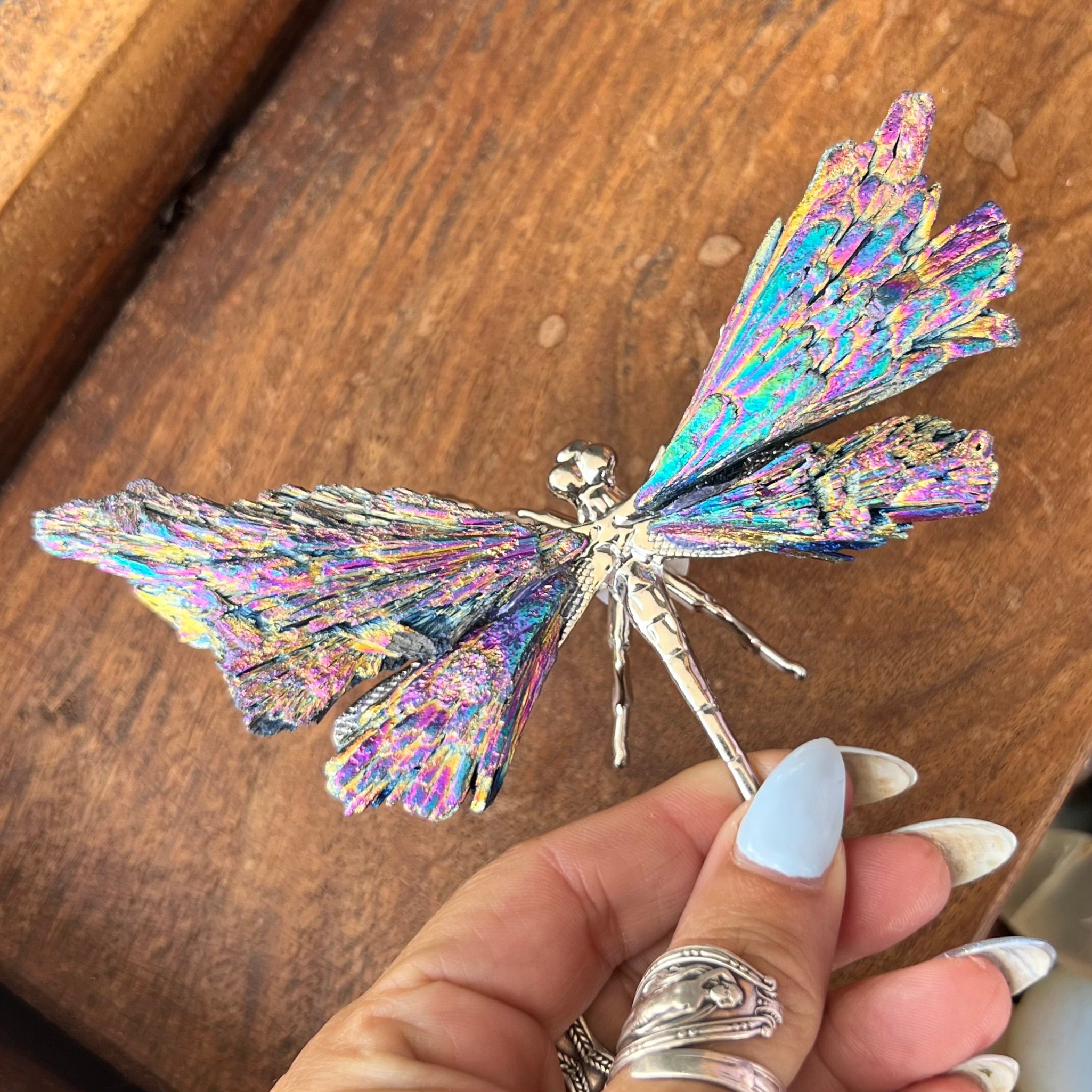 Dragon Fly ~ Rainbow Kyanite Electroplate