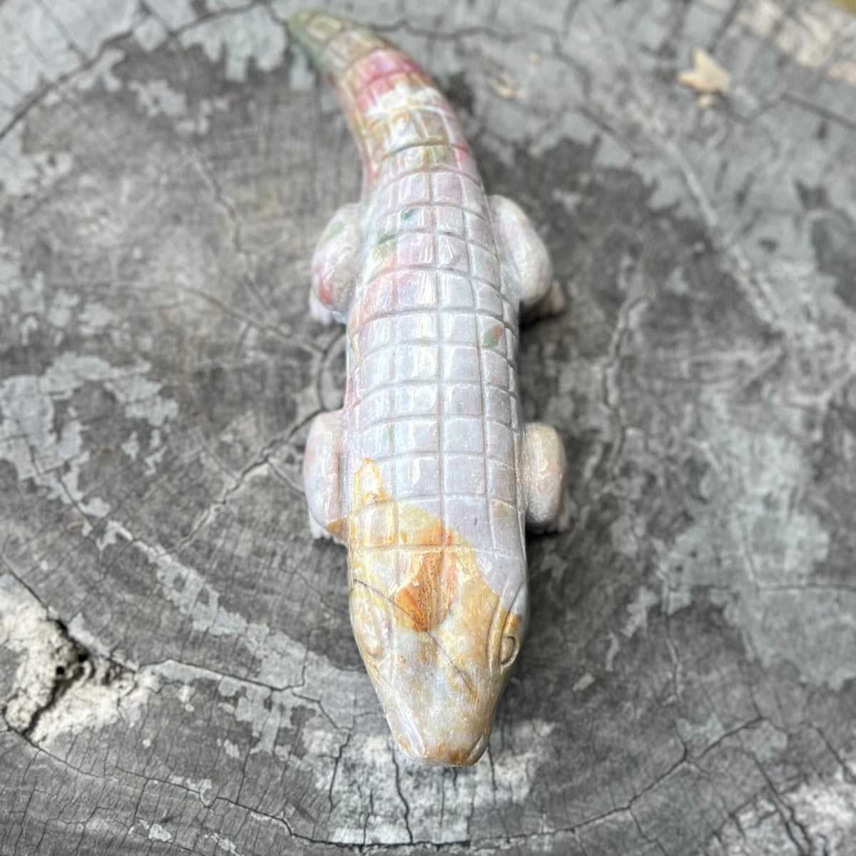 Ocean Jasper ~ Crocodile