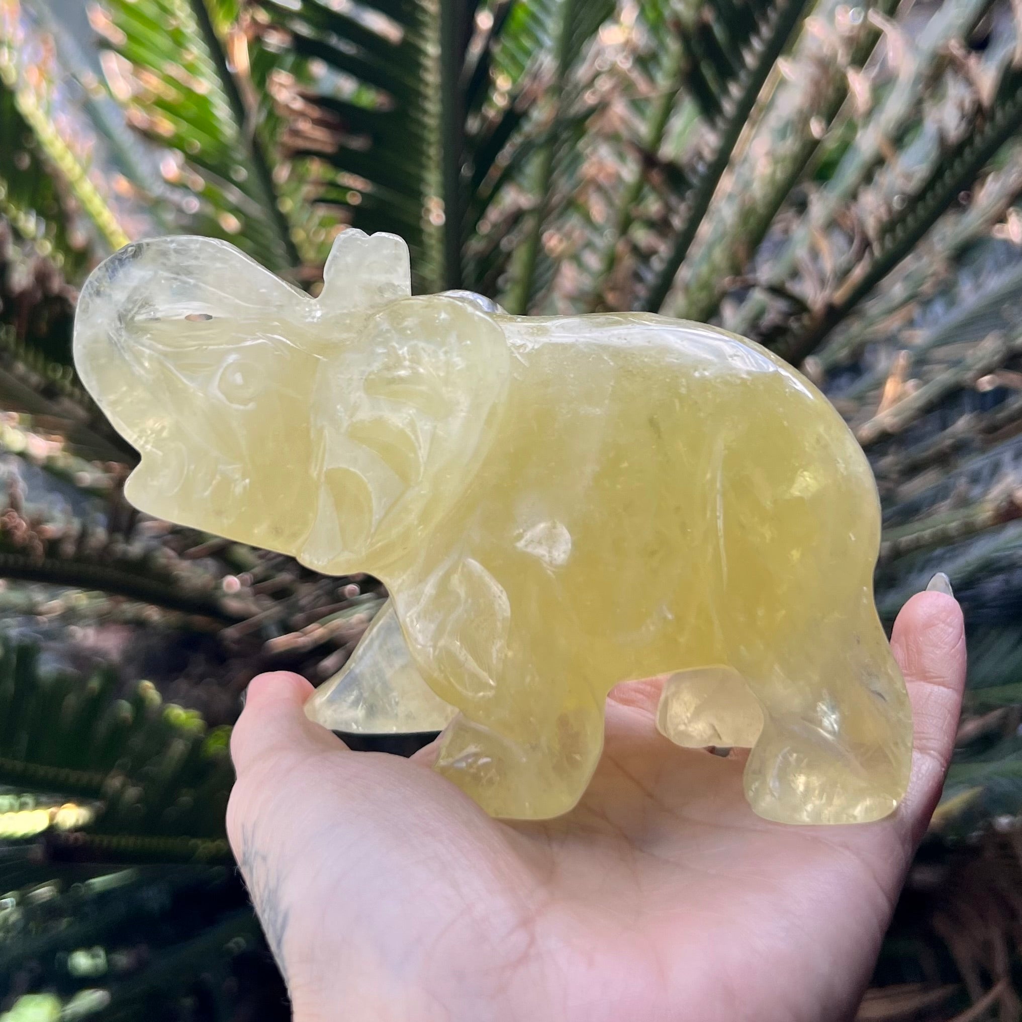 Lucky Elephant ~ Citrine