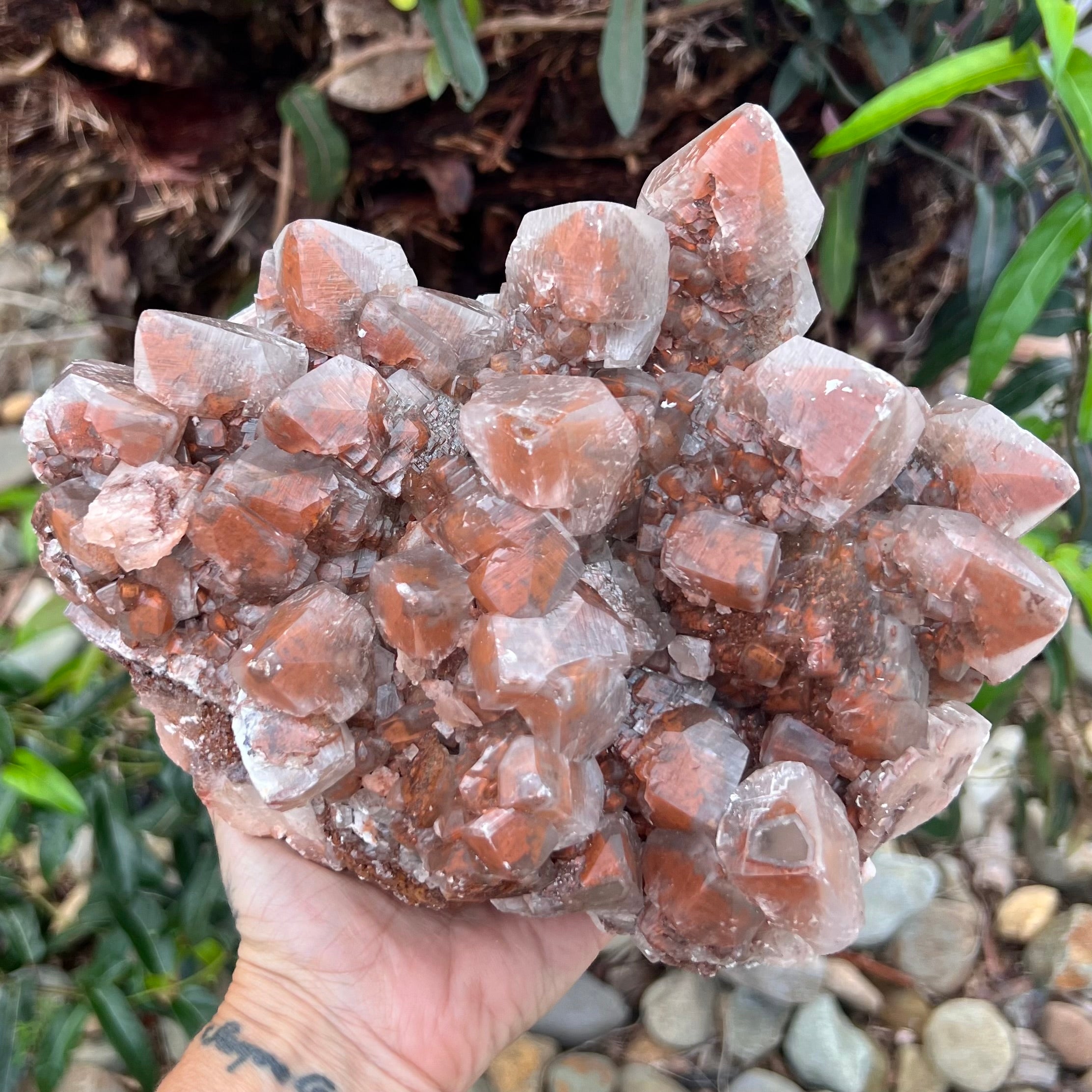 Raw Natural Red Calcite Cluster