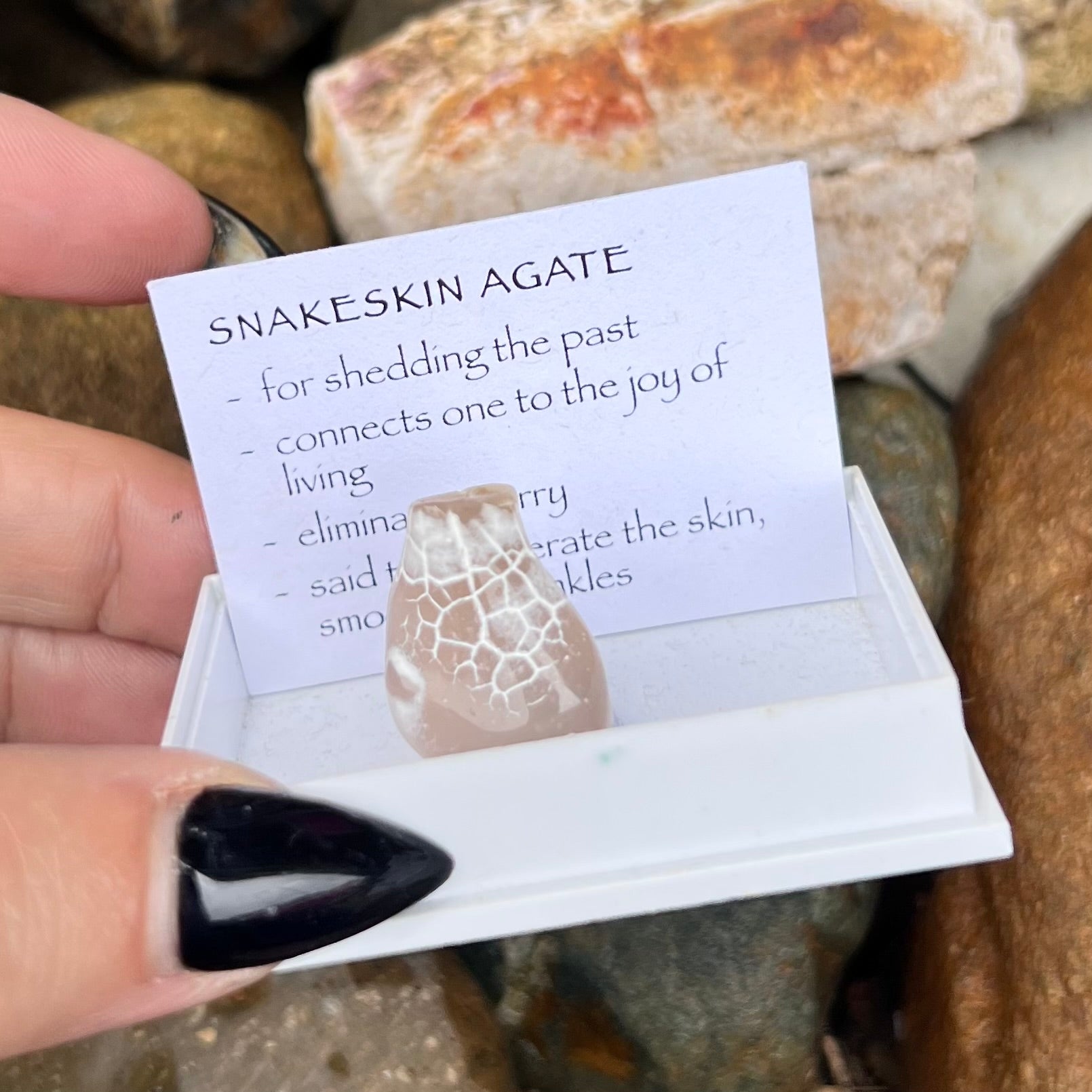 Snake Skin Agate ~ Specialty Boxed Crystal