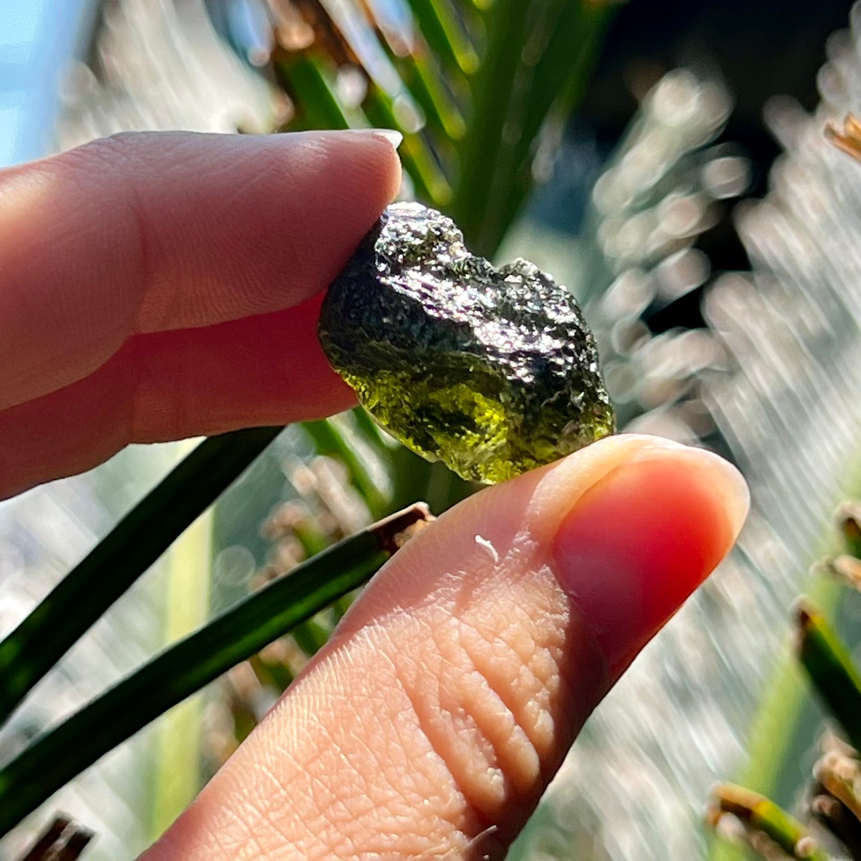 Raw Moldavite Specimen ~ RARE