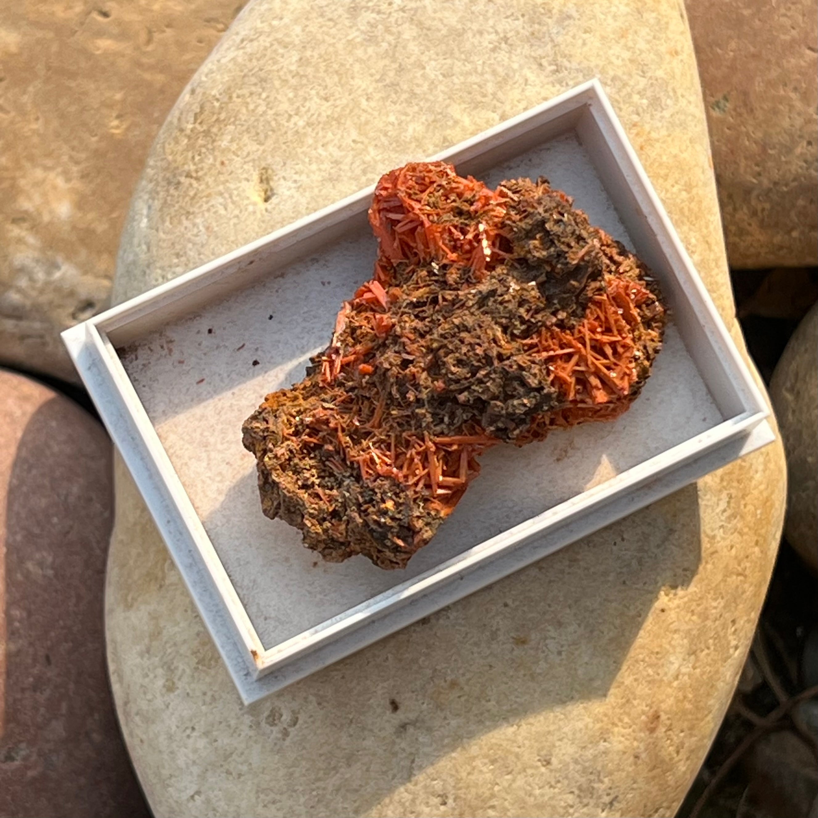 Crocoite Specimen ~ Specialty Crystal