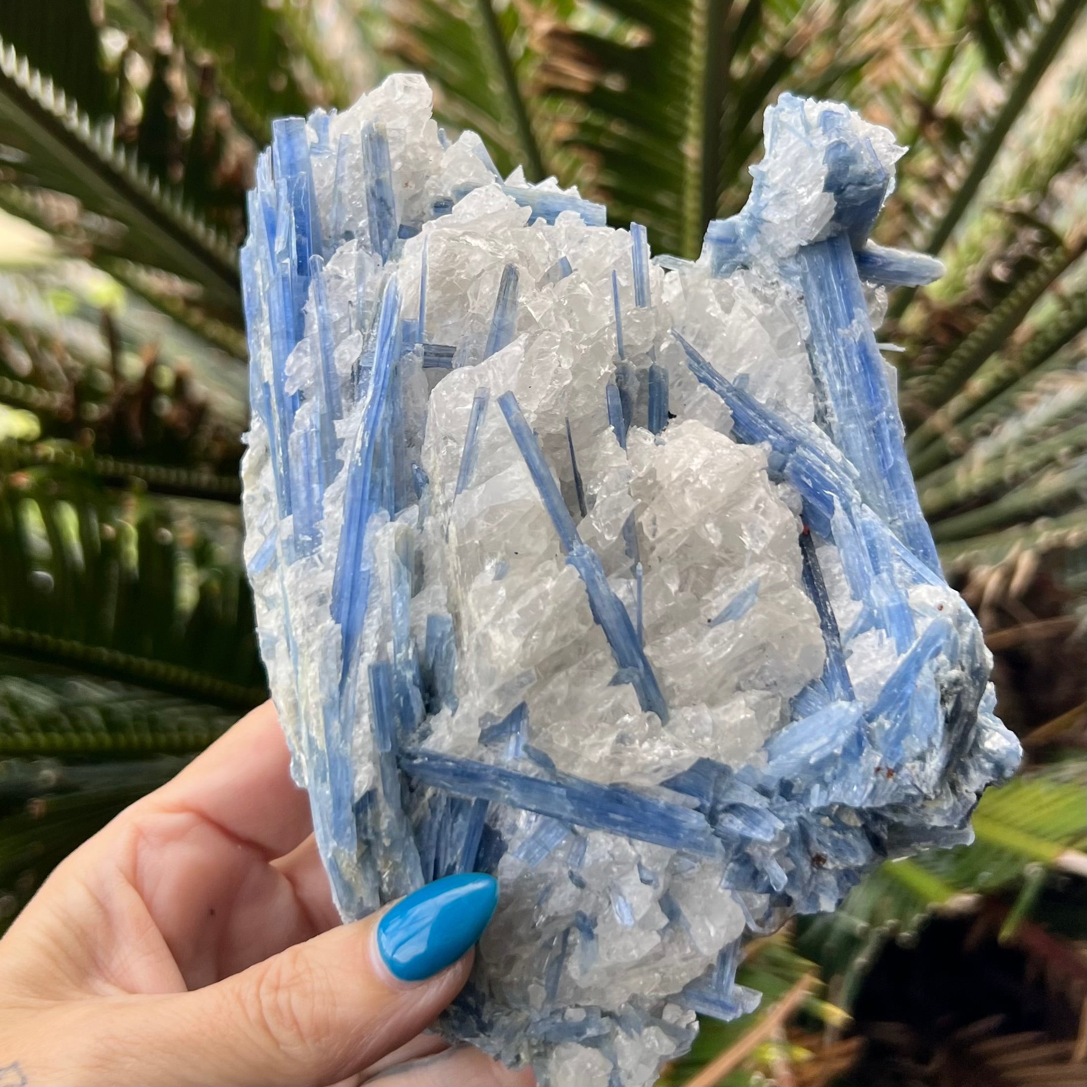 Natural Blue Kyanite with Quartz on Matrix