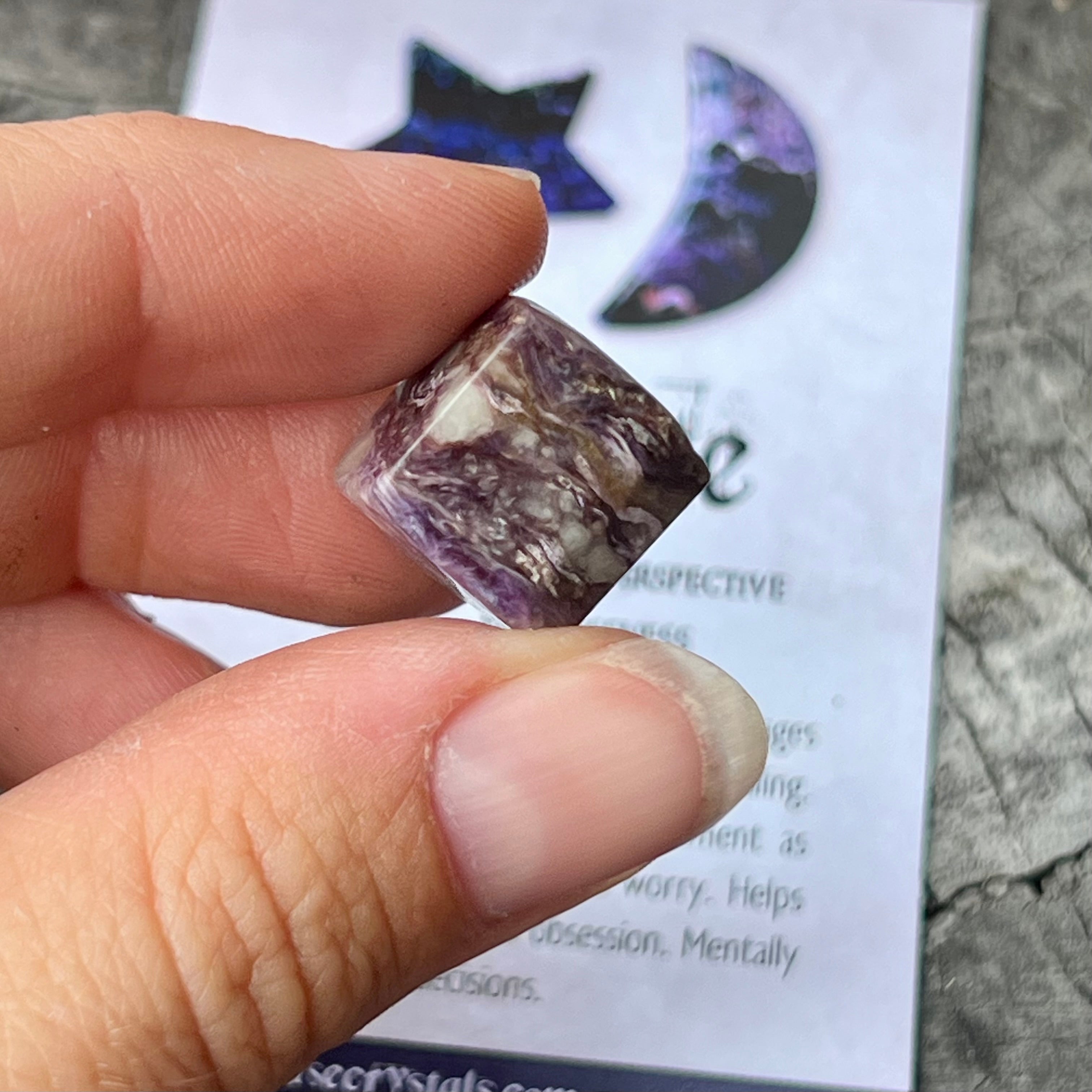 Chariote ~ Specialty Boxed Crystal