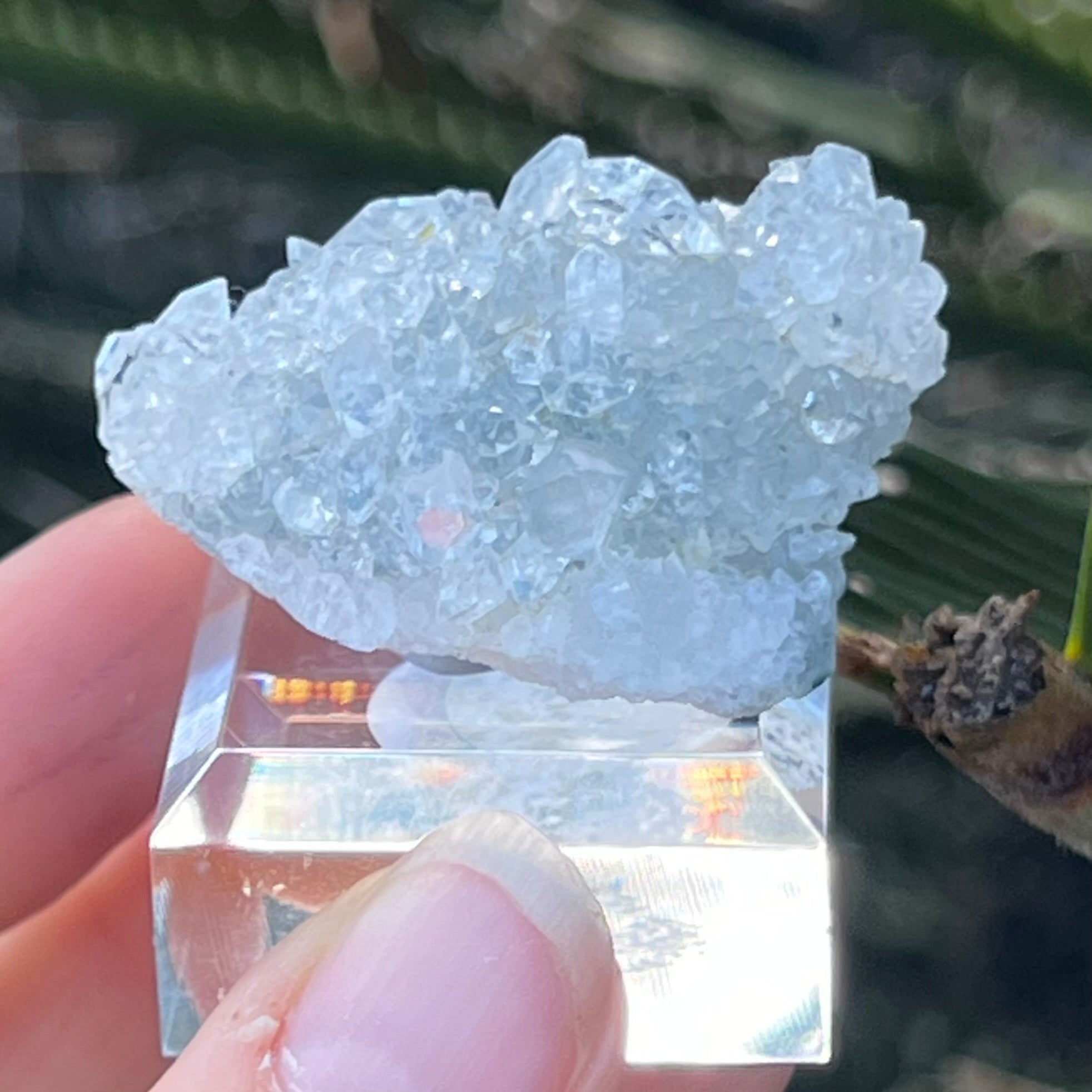 Apophyllite ~ Specialty Boxed Crystal