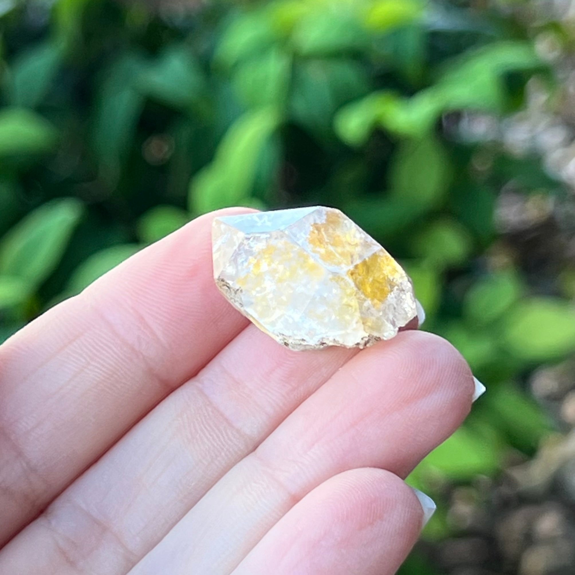 Herkimer Diamond ~ Specialty Boxed Crystal