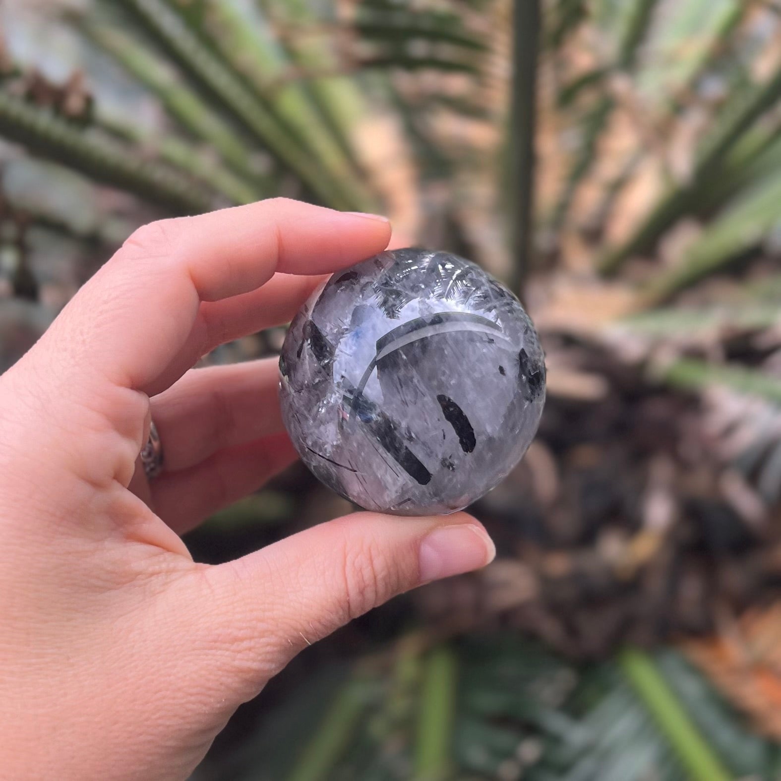 Black Tourmaline in Quartz ~  Sphere