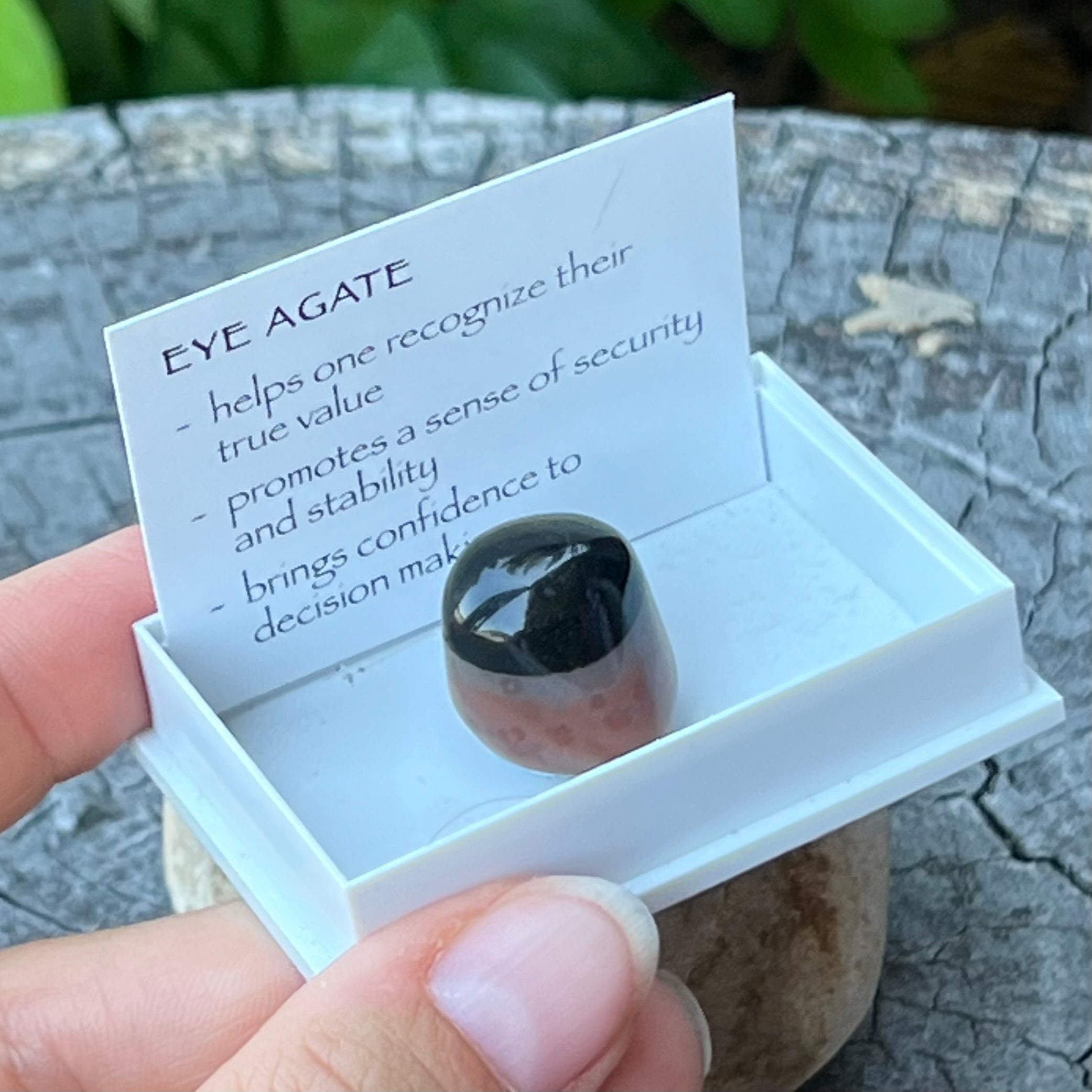 Eye Agate ~ Specialty Boxed Crystal