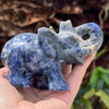 Lucky Elephant ~ Sodalite