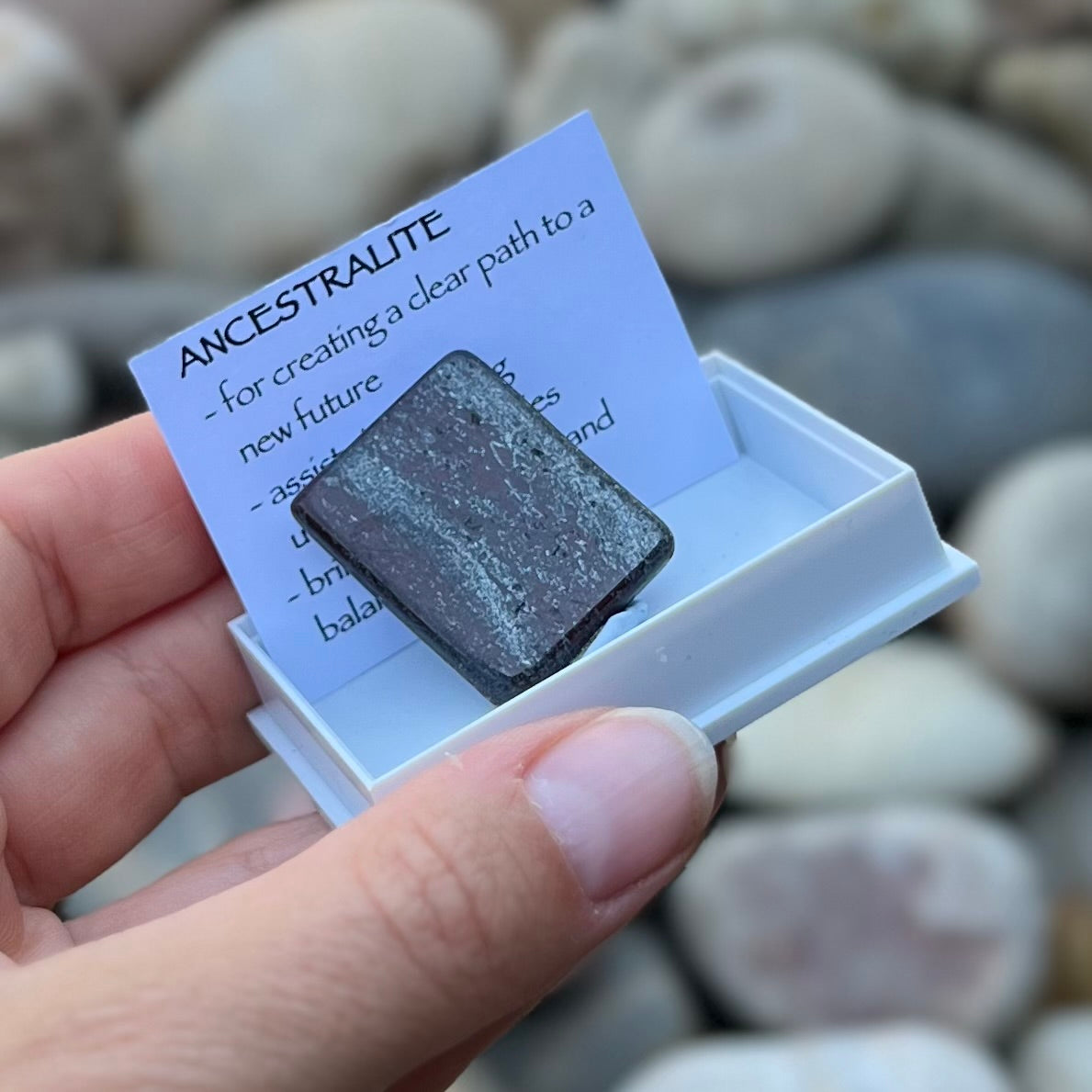 Ancestralite ~ Specialty Boxed Crystal