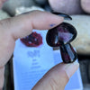Ruby Mushroom ~ Specialty Boxed Crystal
