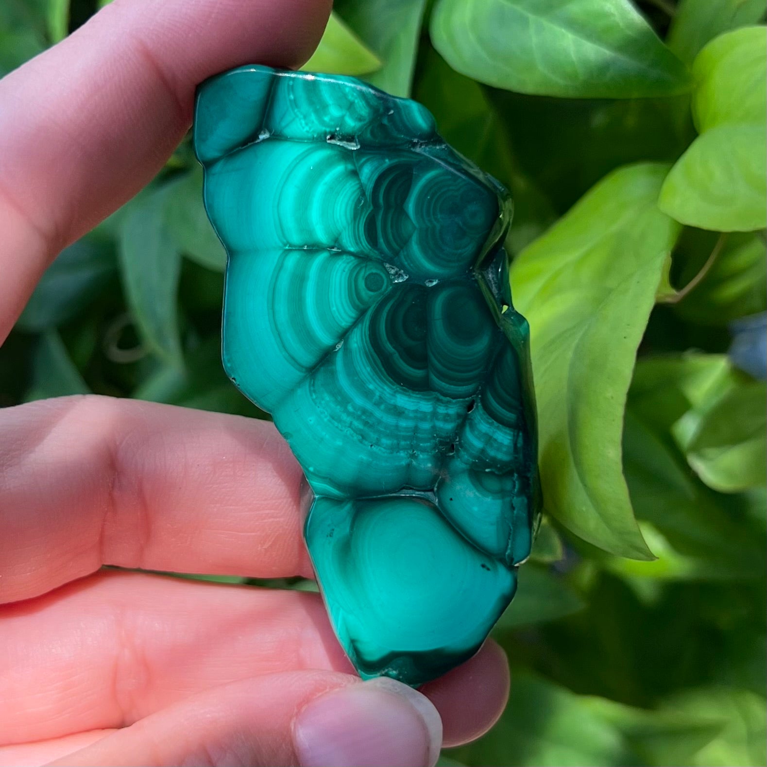 Malachite Slab ~ Transformation