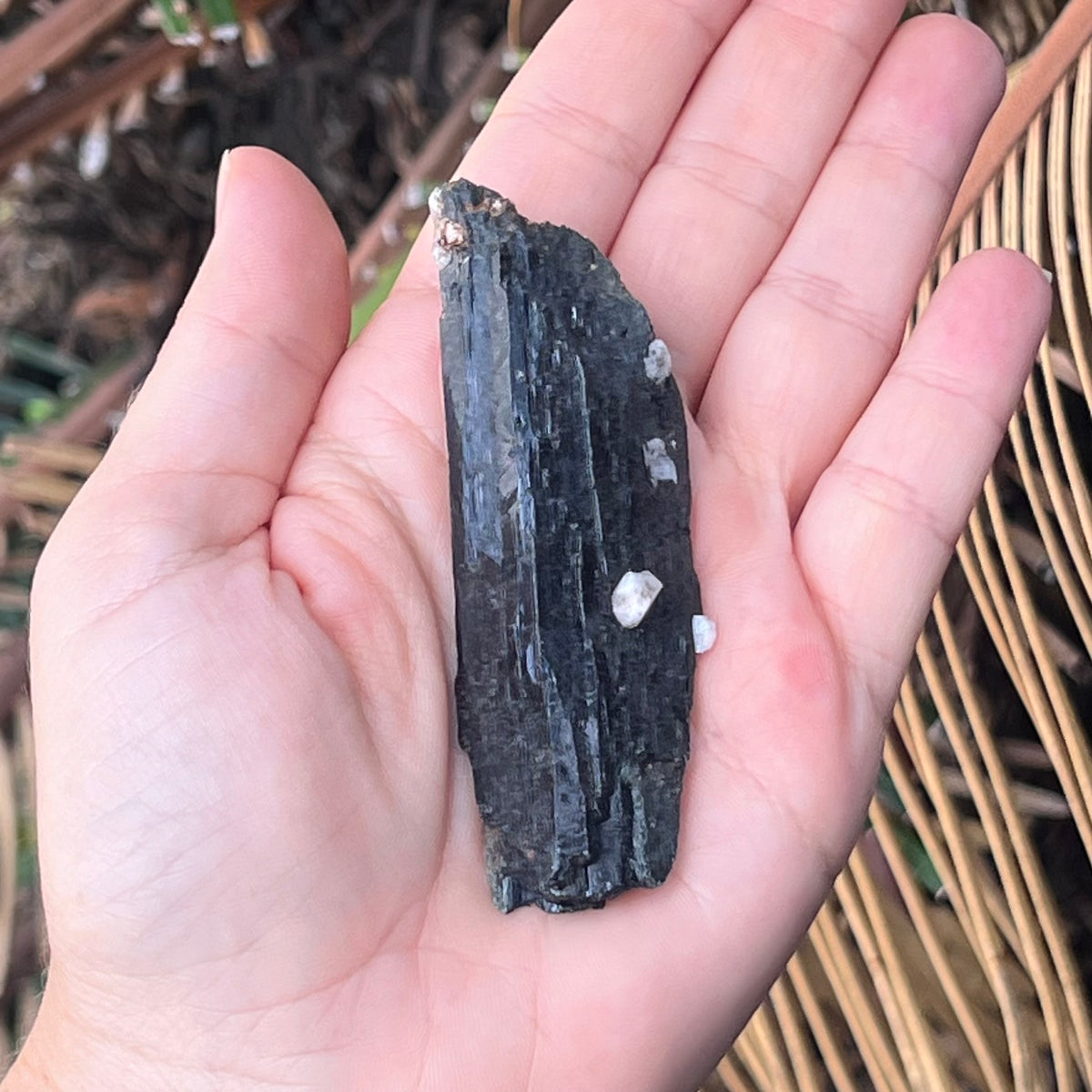 Black Tourmaline Specimen