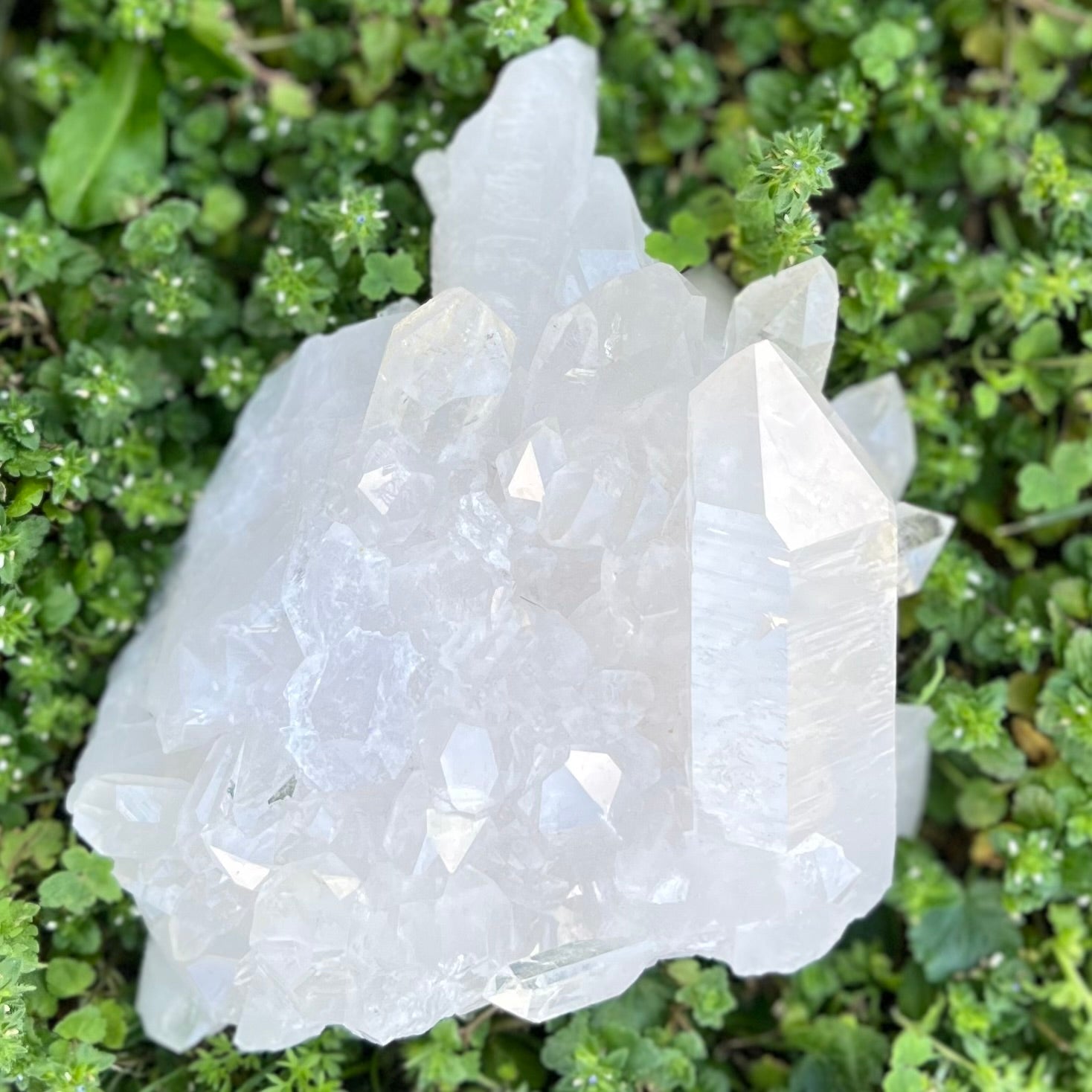Clear Quartz Semi Raw Cluster