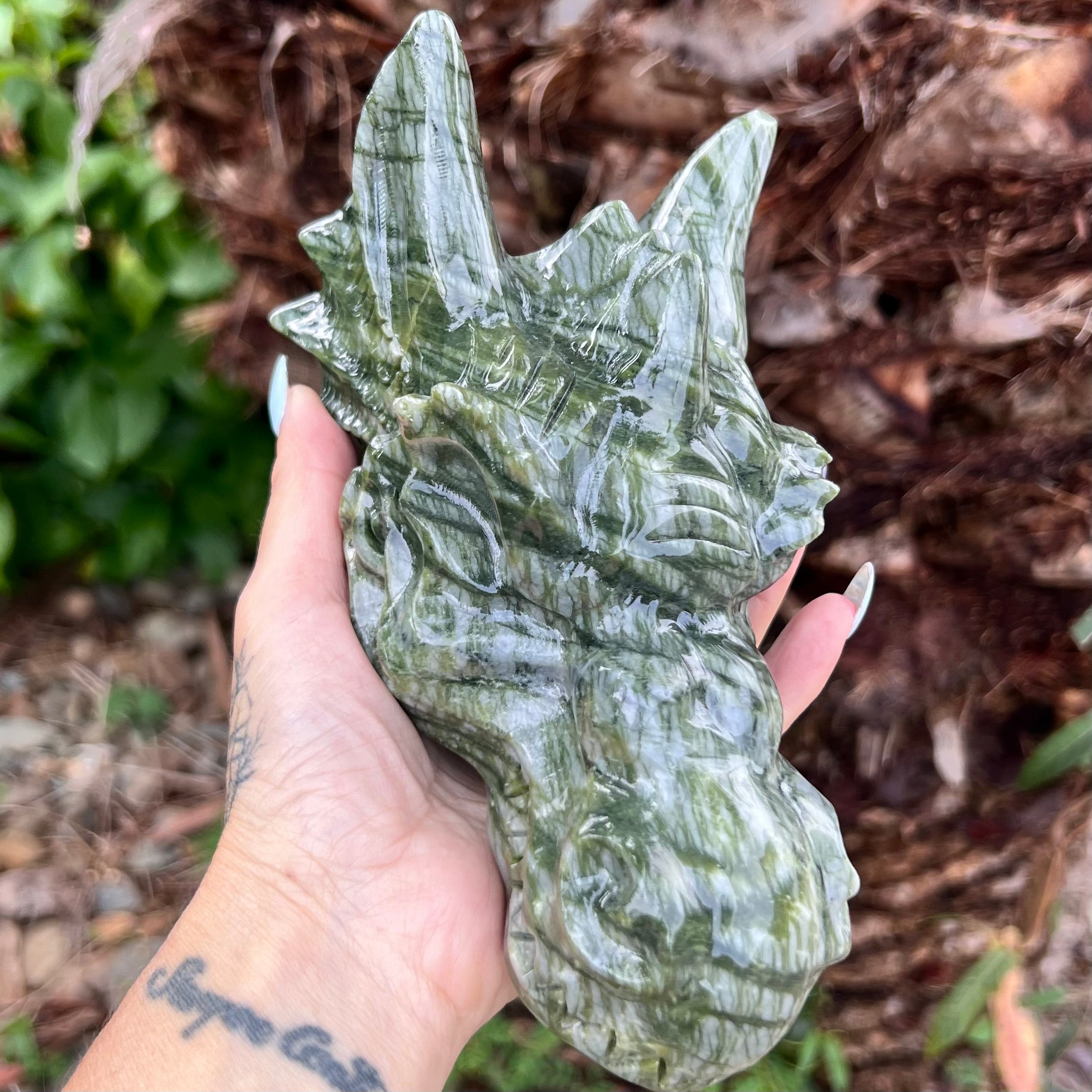 Afghanistan Jade ~ Dragon Head